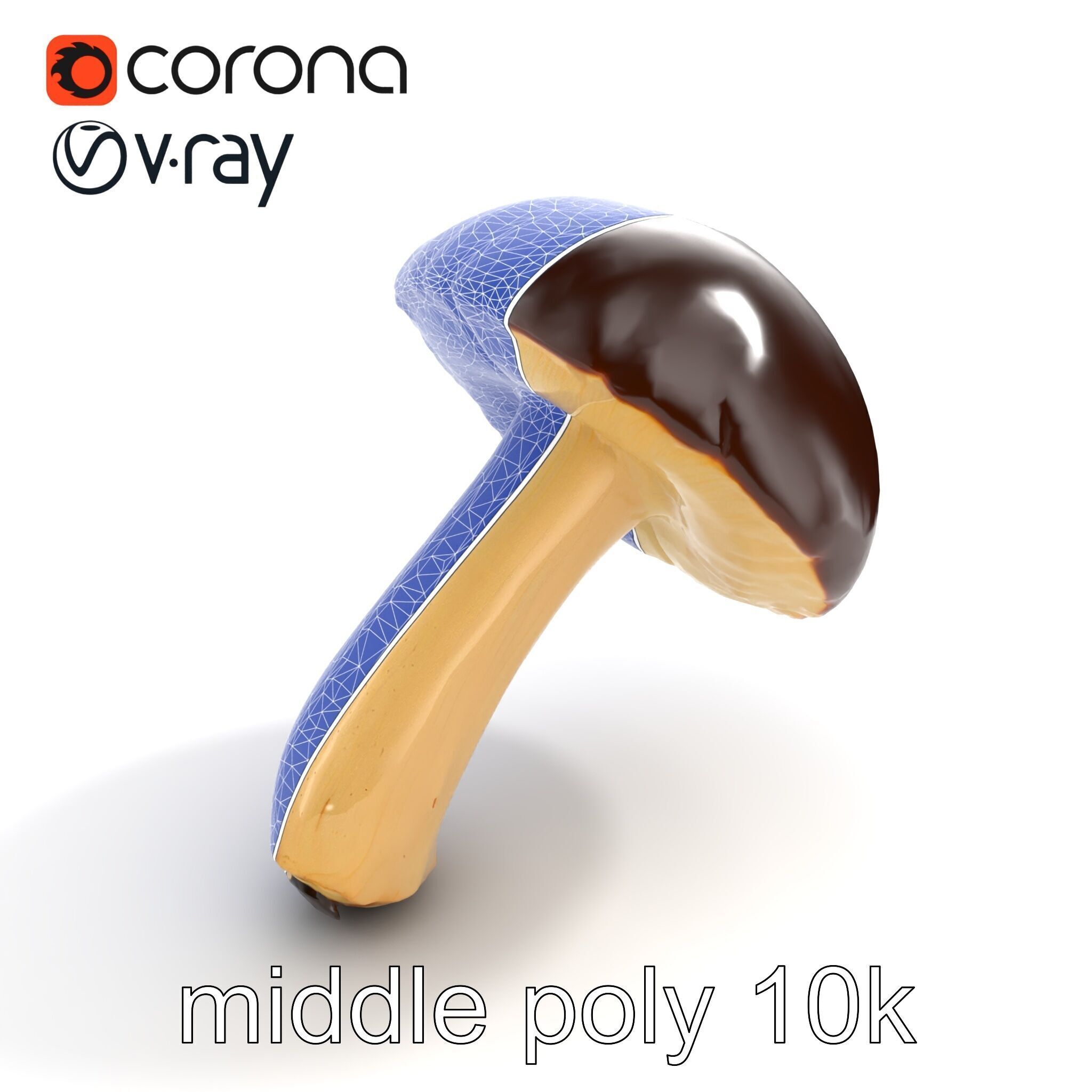 Realistic Suillus Mushroom Model Pack Low-poly 3D model_12