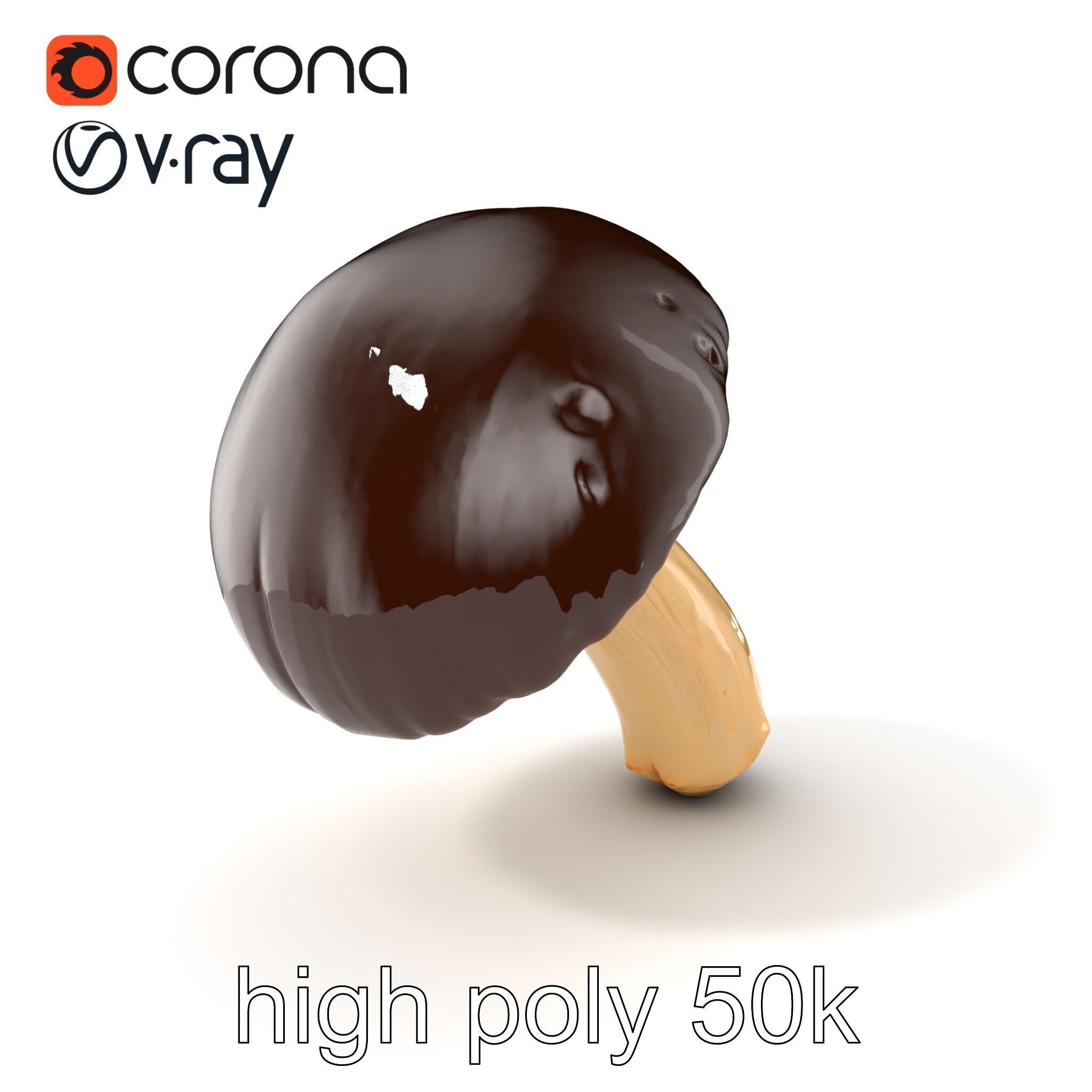 Realistic Suillus Mushroom Model Pack Low-poly 3D model_2