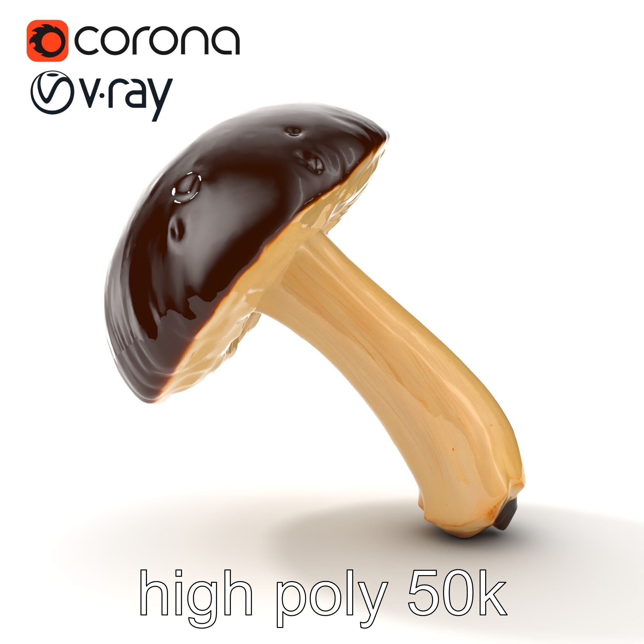 Realistic Suillus Mushroom Model Pack Low-poly 3D model_17