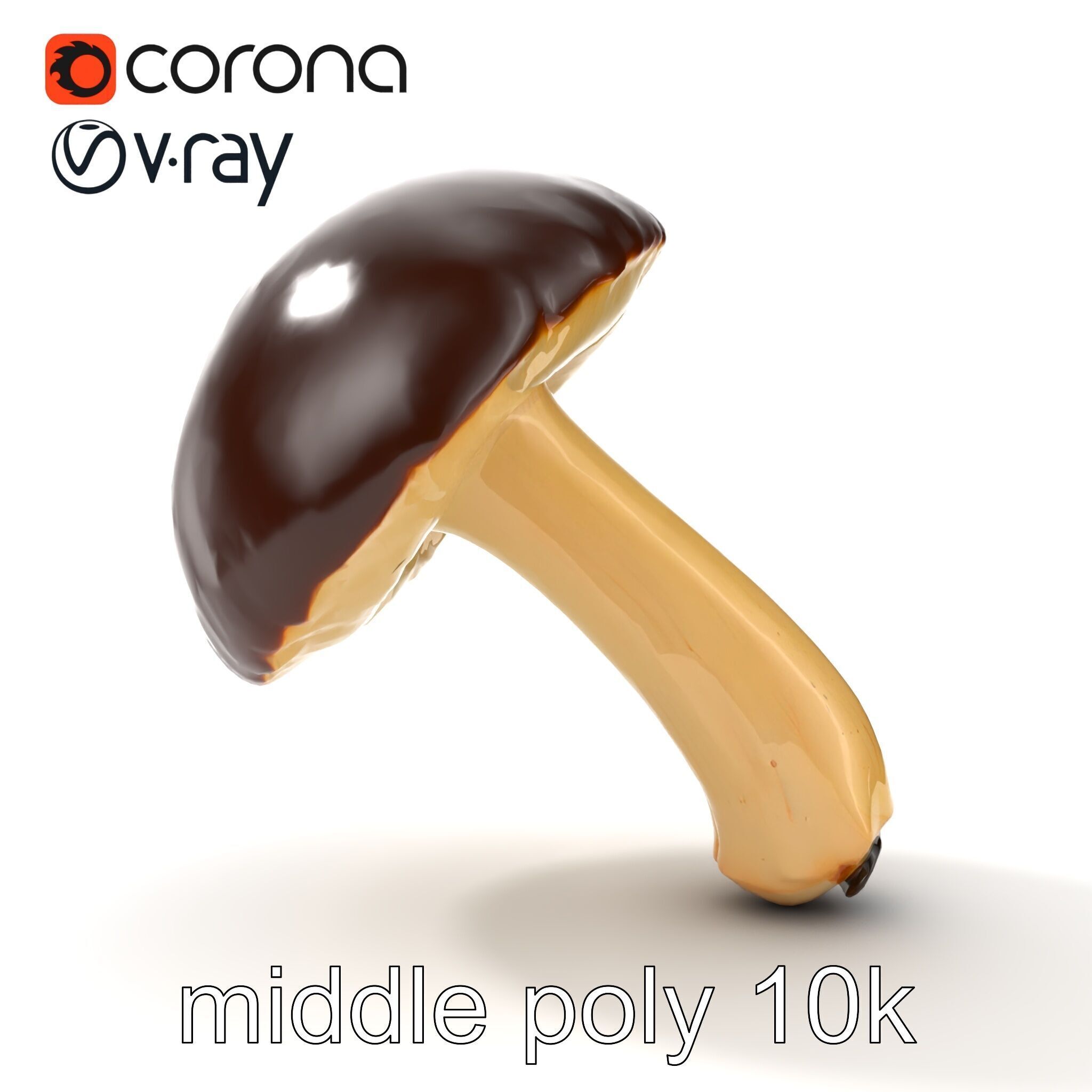 Realistic Suillus Mushroom Model Pack Low-poly 3D model_18