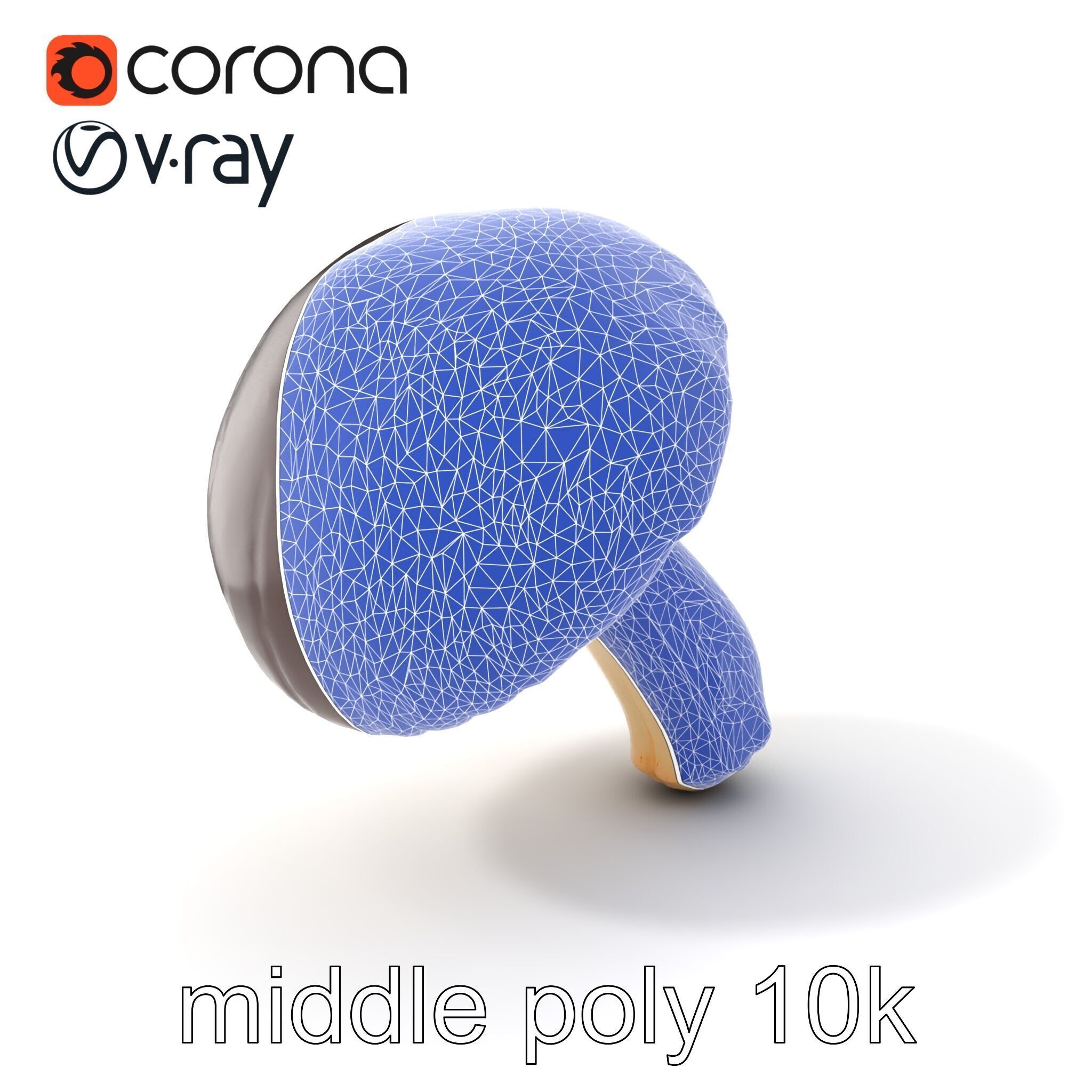 Realistic Suillus Mushroom Model Pack Low-poly 3D model_6