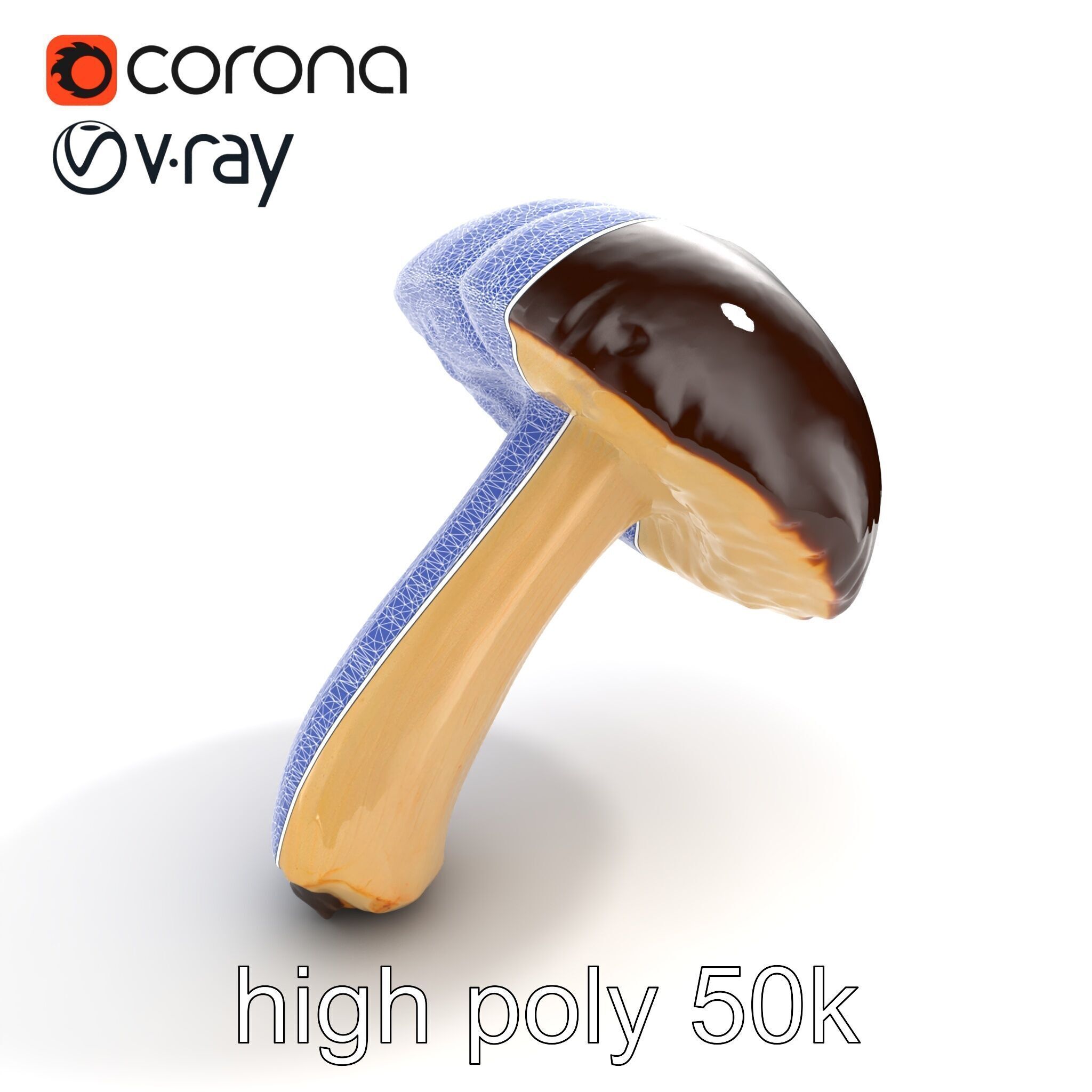 Realistic Suillus Mushroom Model Pack Low-poly 3D model_23