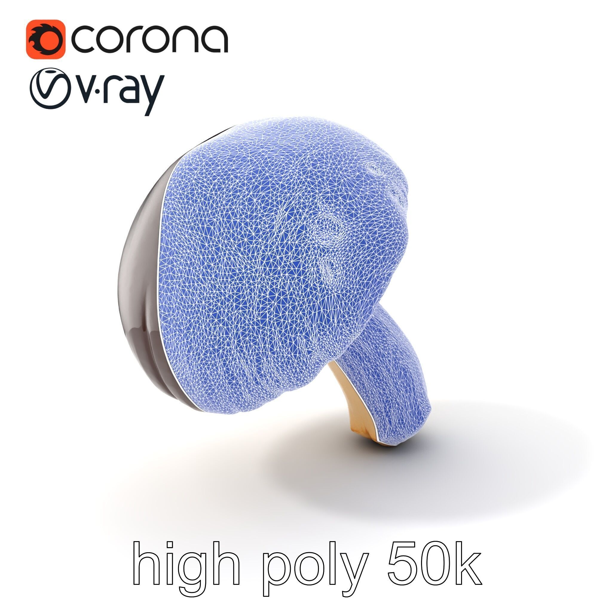 Realistic Suillus Mushroom Model Pack Low-poly 3D model_10