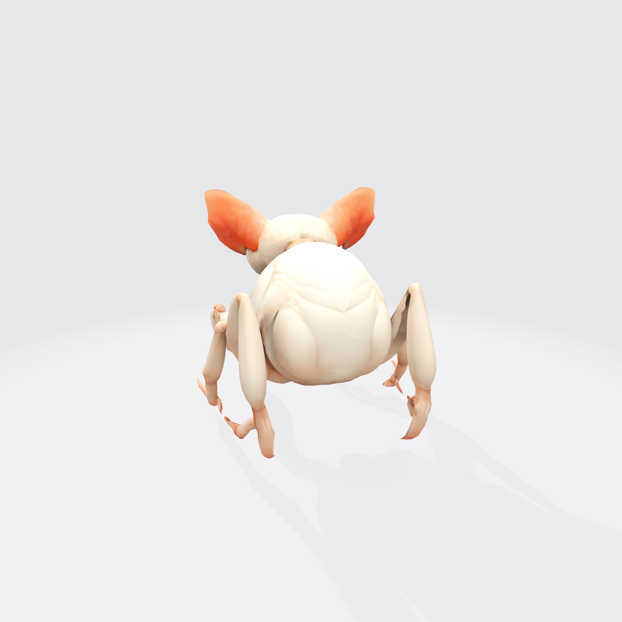 Hybrid Sphynx Cat Creature with Insect Legs 3D model_2