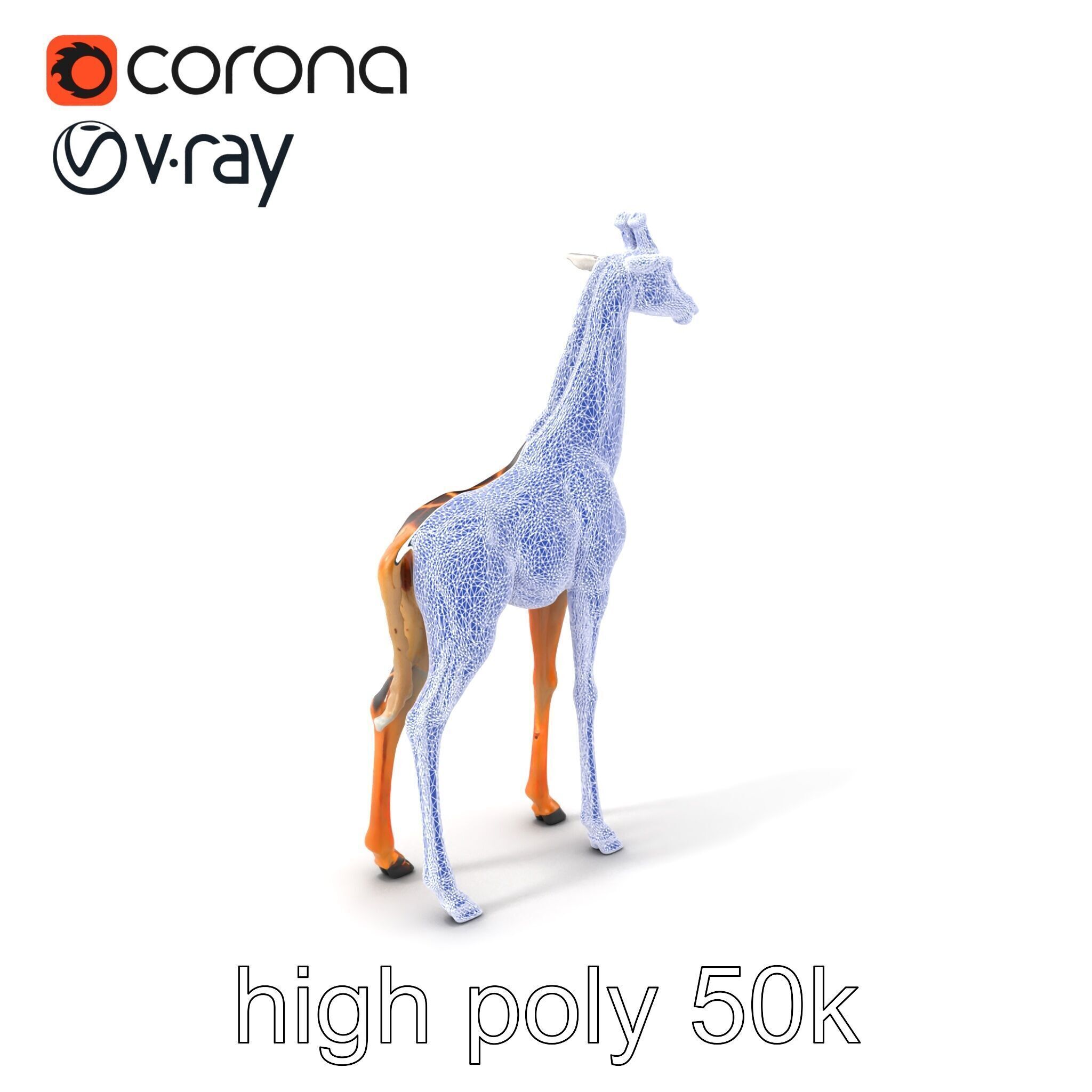 Masai Giraffe Detailed Texture Model Pack Low-poly 3D model_10