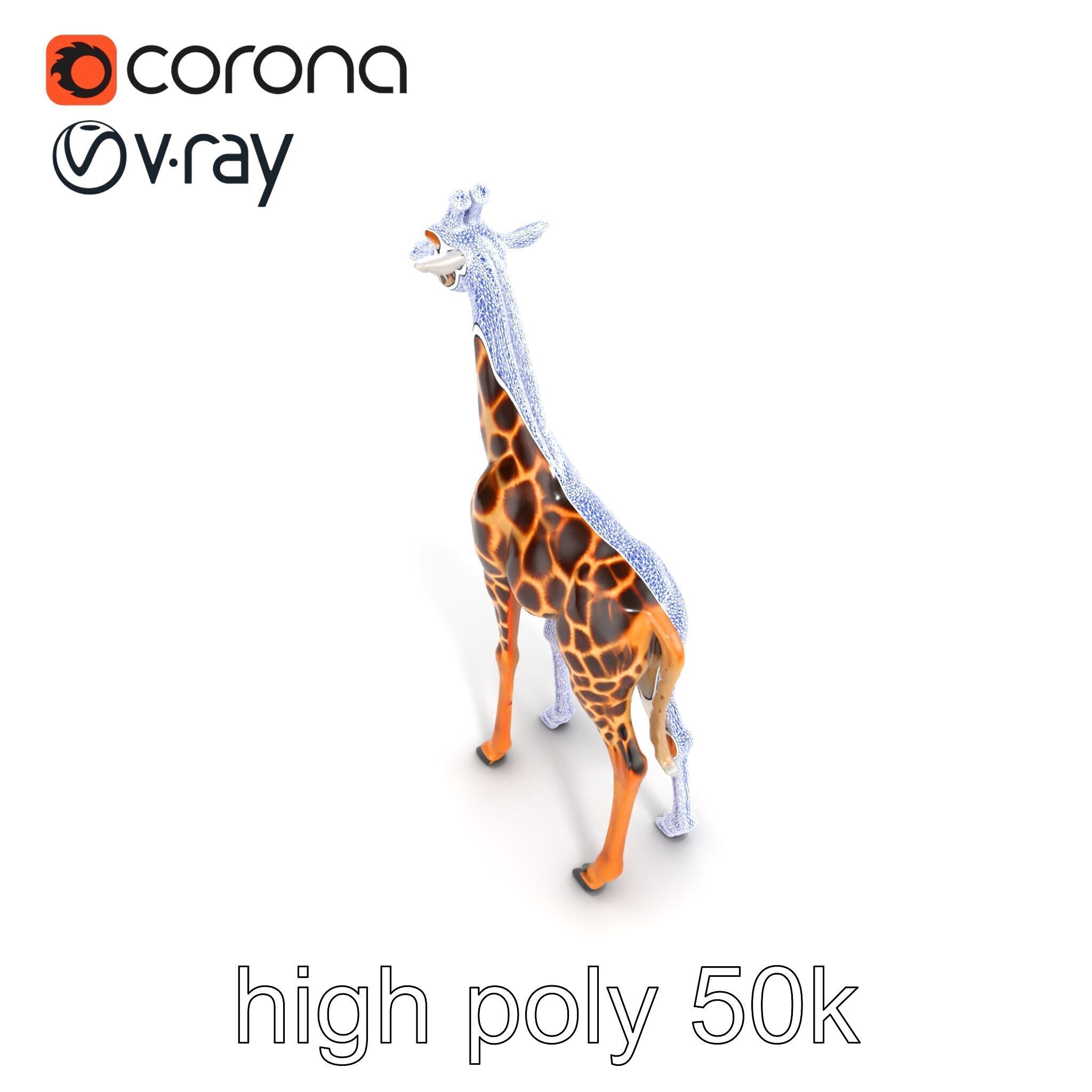 Masai Giraffe Detailed Texture Model Pack Low-poly 3D model_22