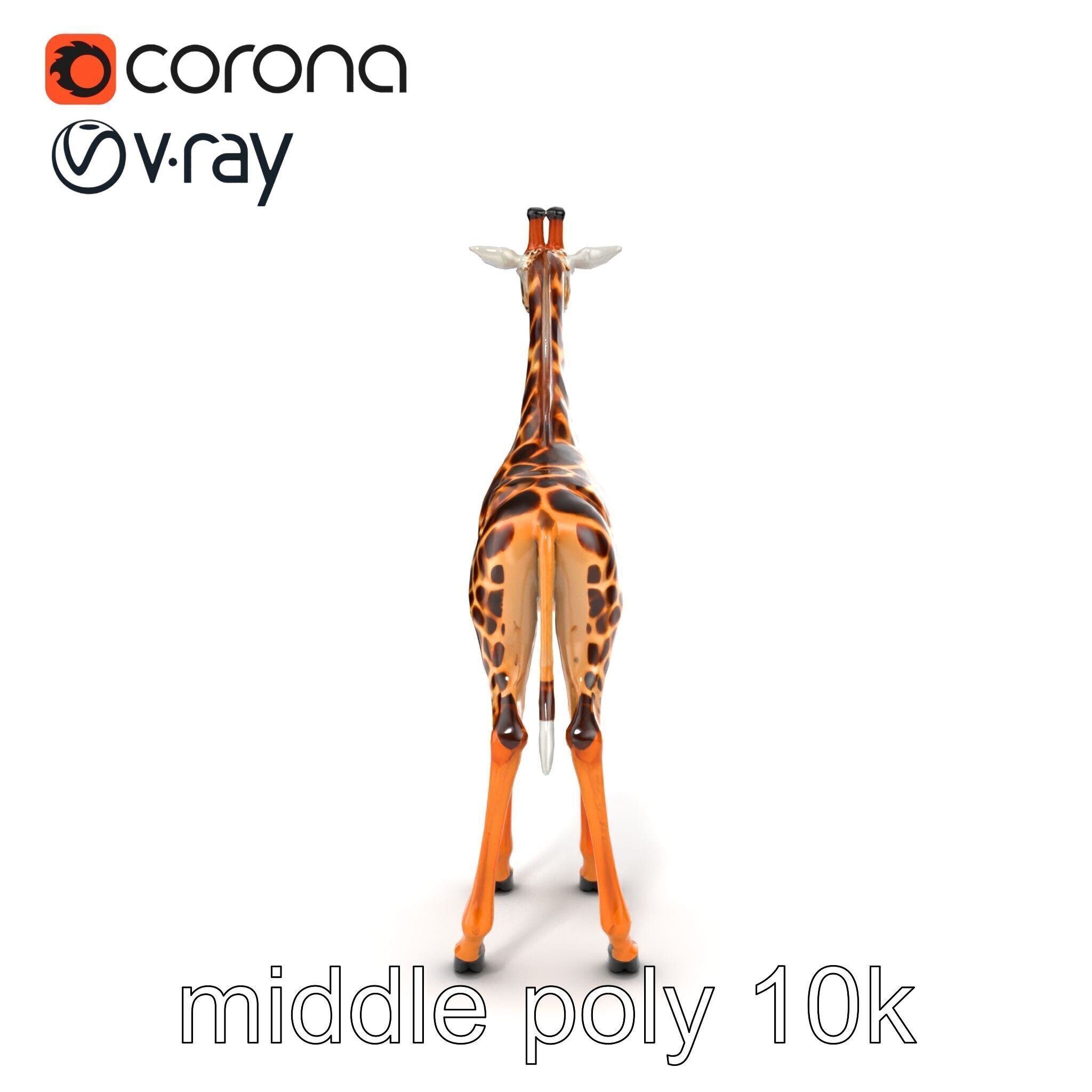Masai Giraffe Detailed Texture Model Pack Low-poly 3D model_24