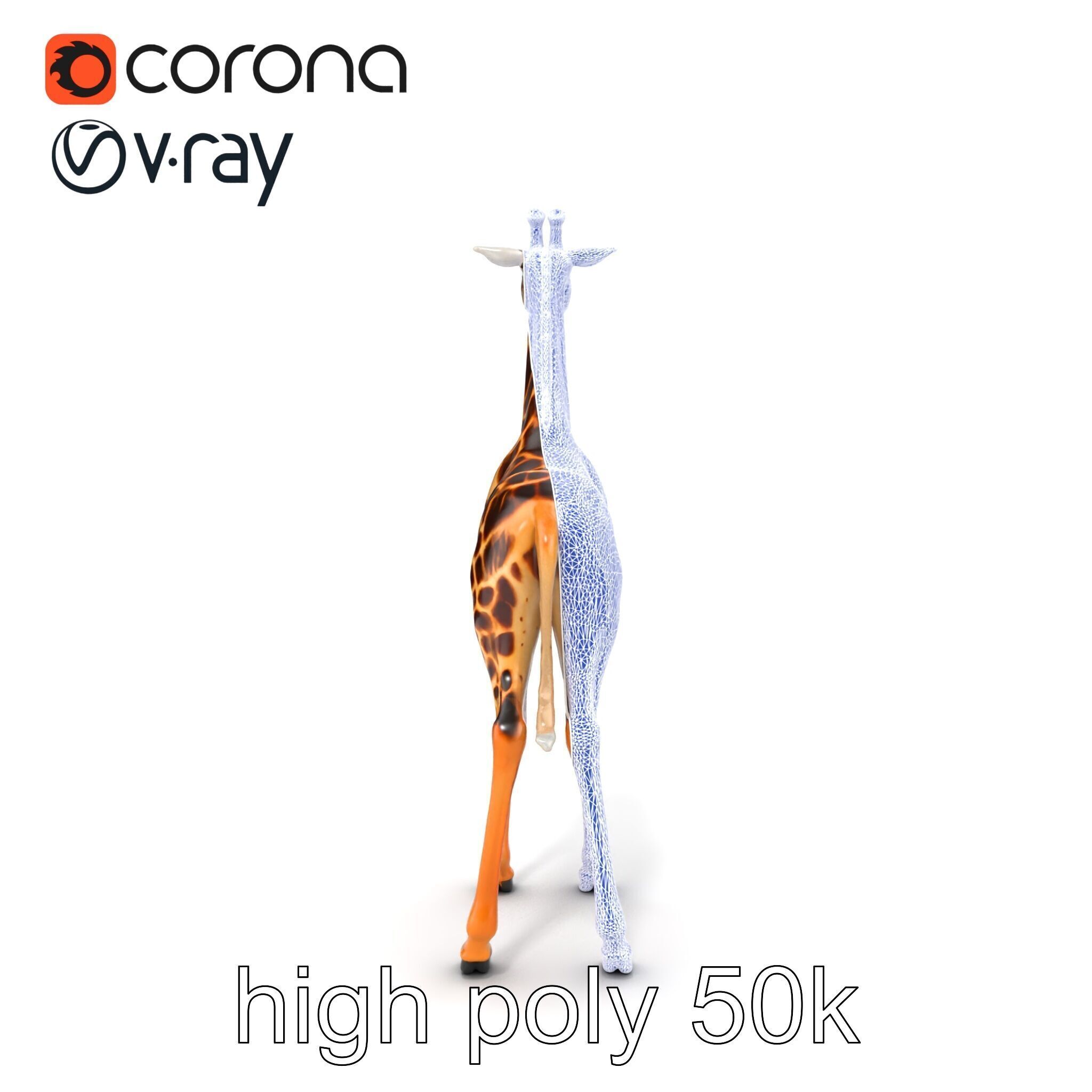 Masai Giraffe Detailed Texture Model Pack Low-poly 3D model_30