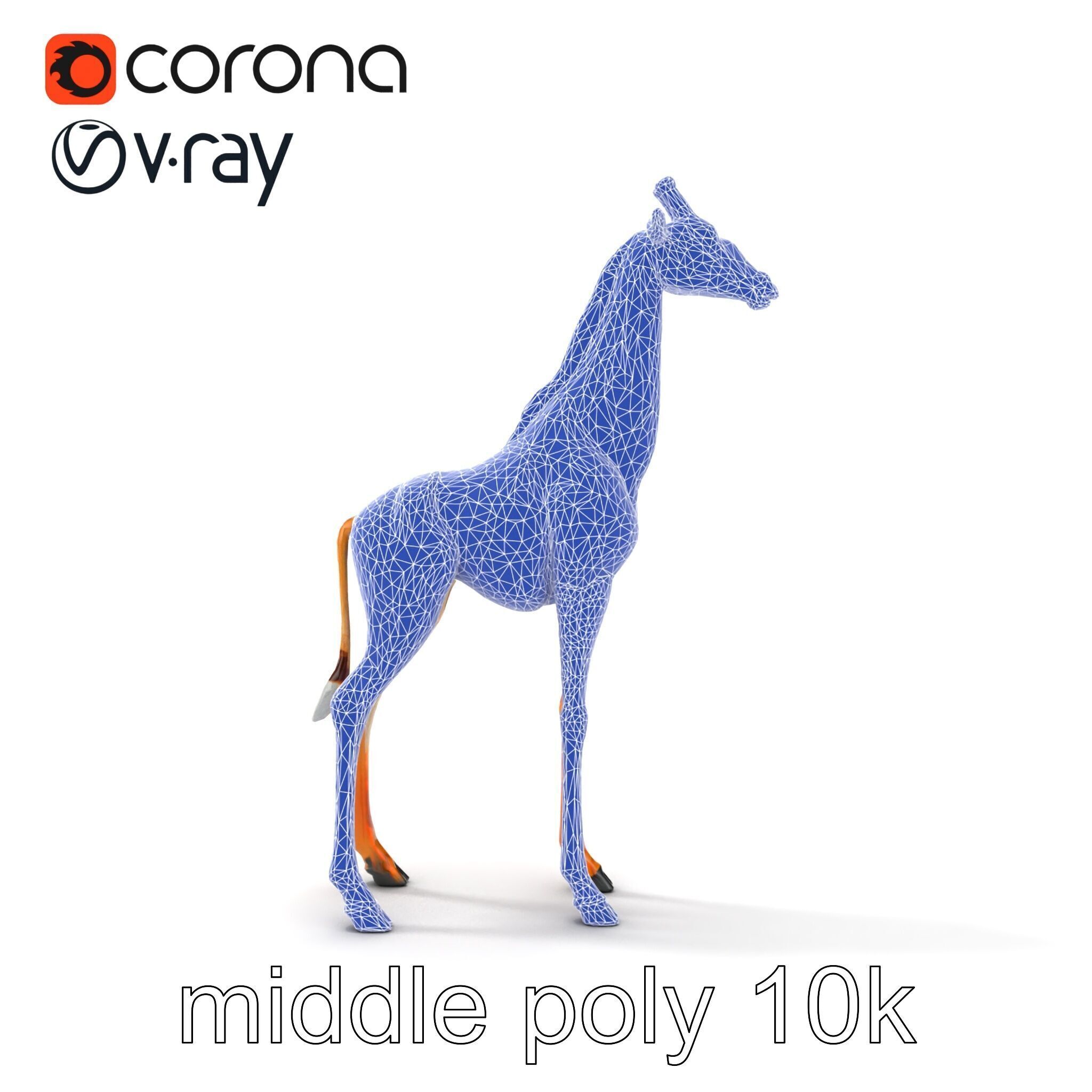 Masai Giraffe Detailed Texture Model Pack Low-poly 3D model_16