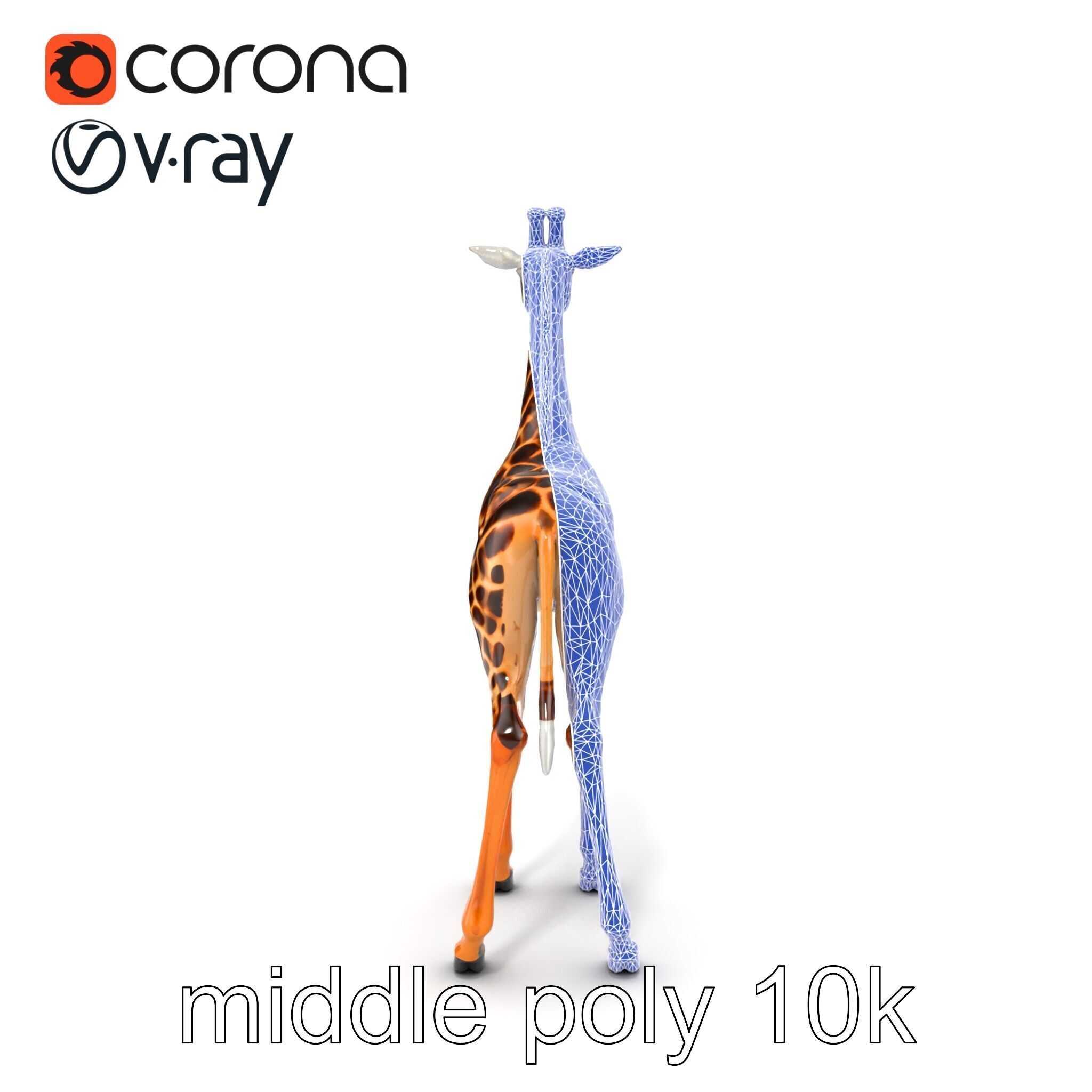 Masai Giraffe Detailed Texture Model Pack Low-poly 3D model_29