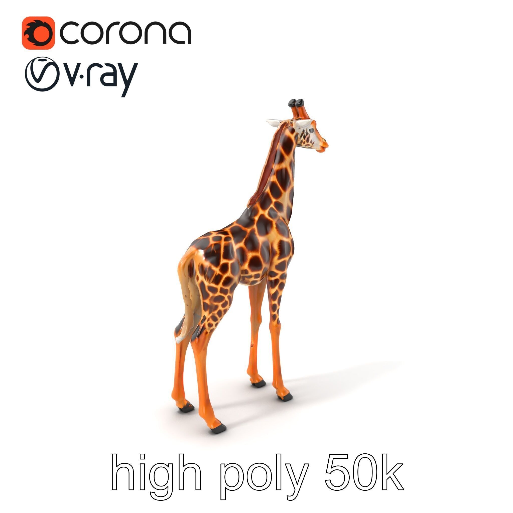 Masai Giraffe Detailed Texture Model Pack Low-poly 3D model_2