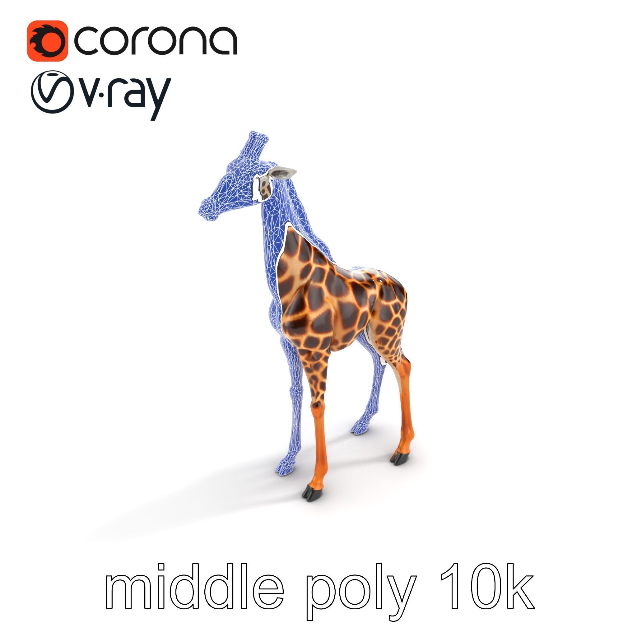 Masai Giraffe Detailed Texture Model Pack Low-poly 3D model_17
