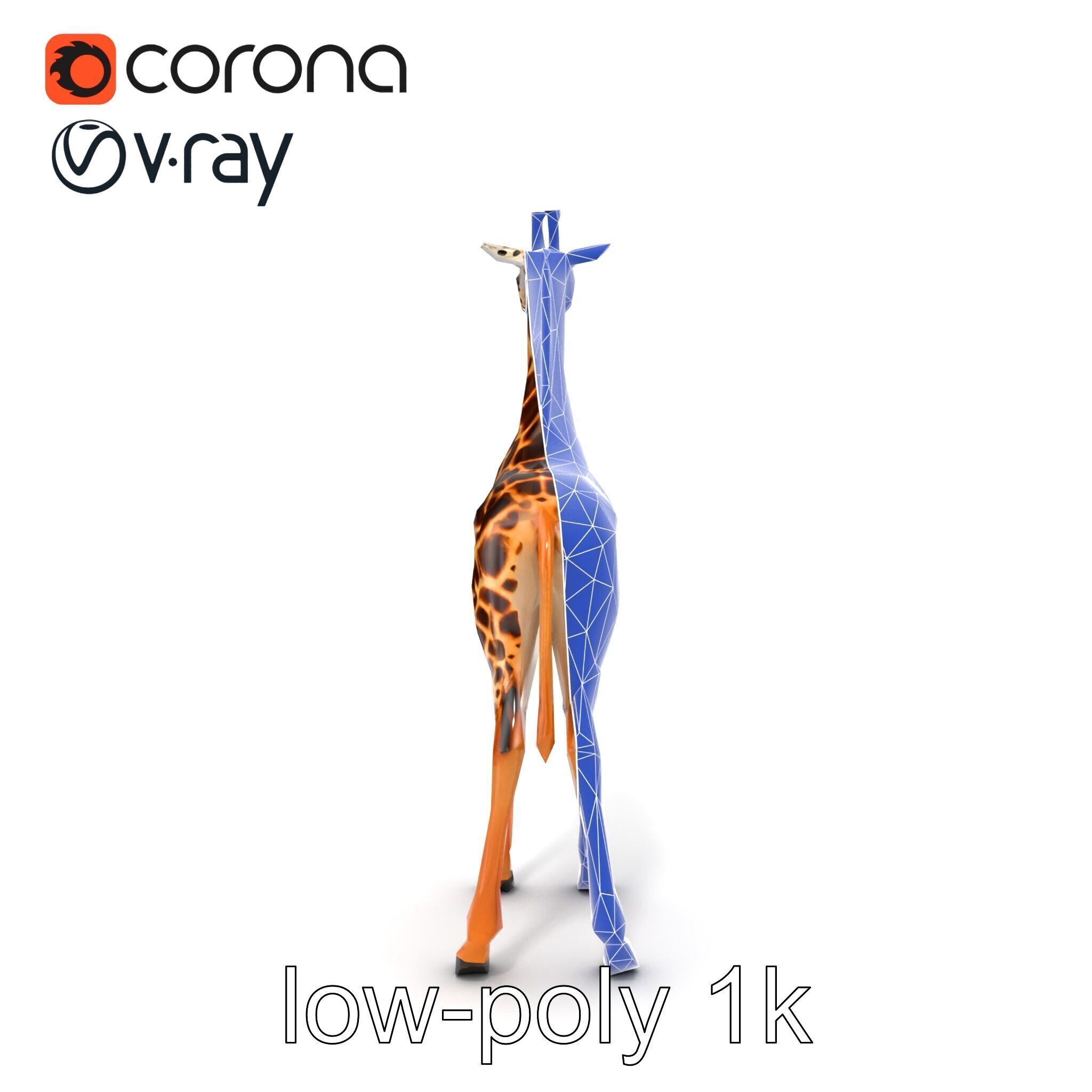 Masai Giraffe Detailed Texture Model Pack Low-poly 3D model_32