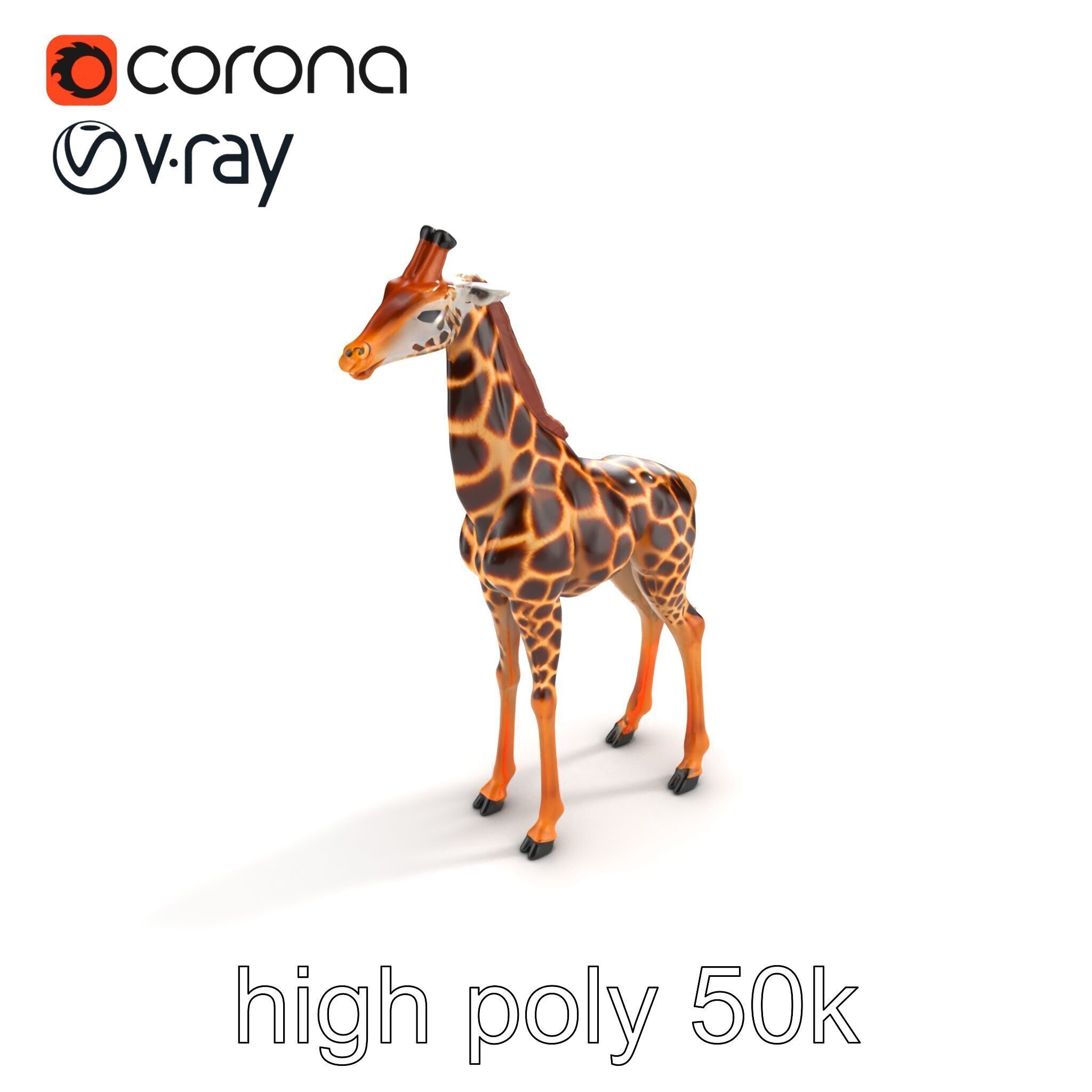 Masai Giraffe Detailed Texture Model Pack Low-poly 3D model_13