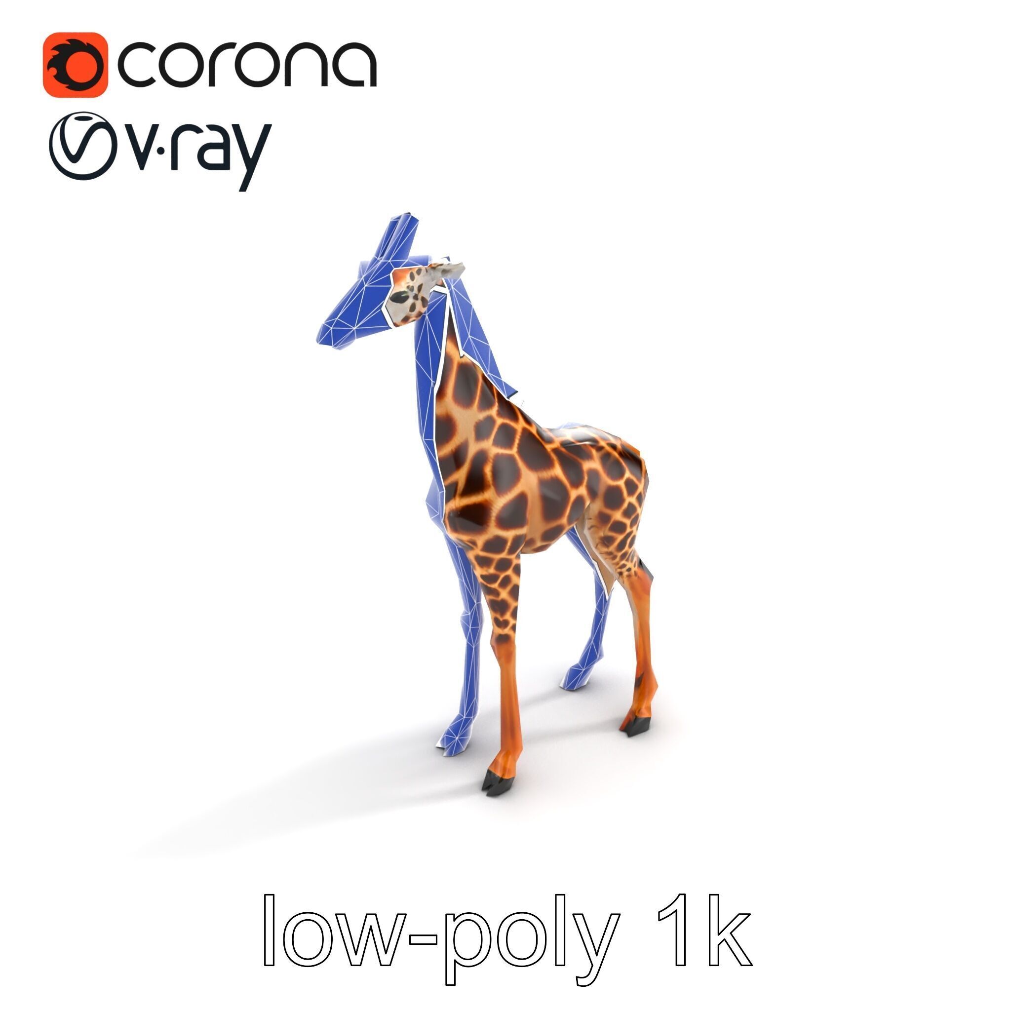 Masai Giraffe Detailed Texture Model Pack Low-poly 3D model_14