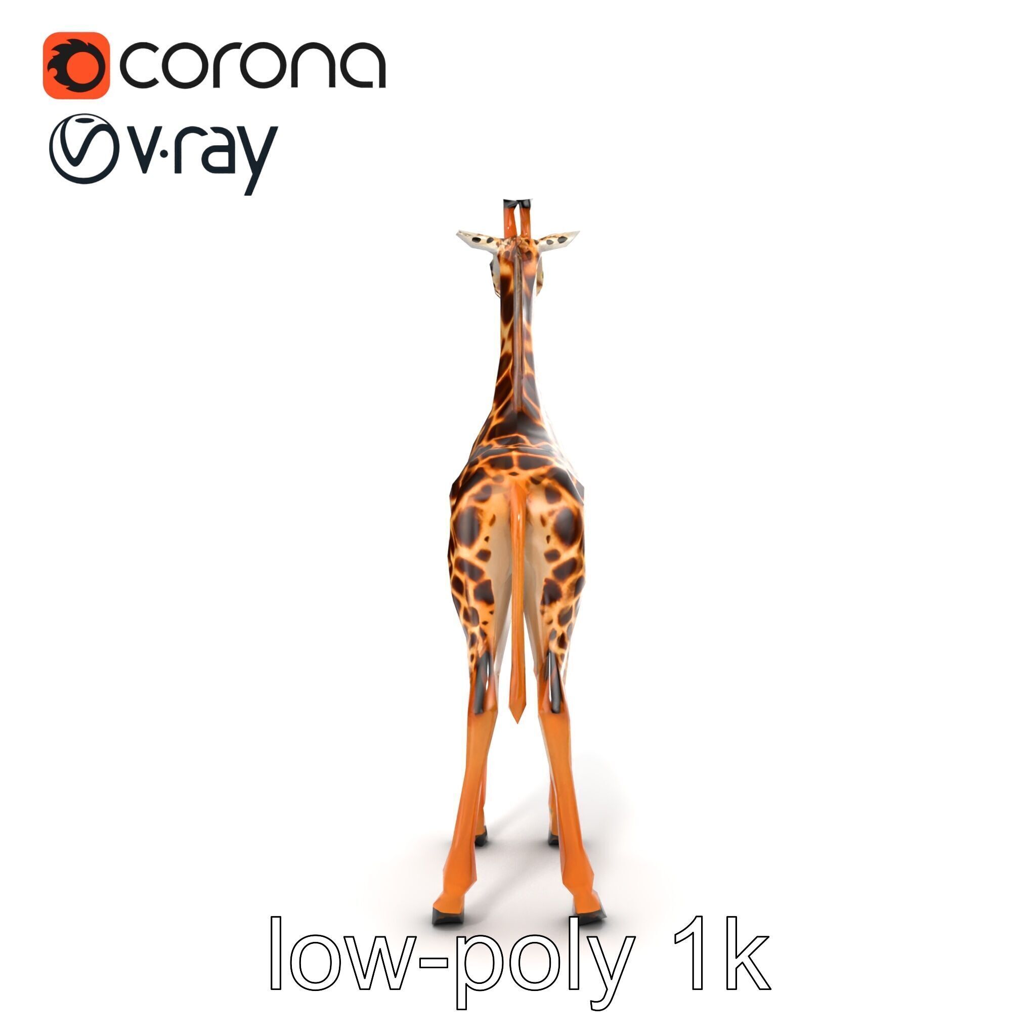 Masai Giraffe Detailed Texture Model Pack Low-poly 3D model_15