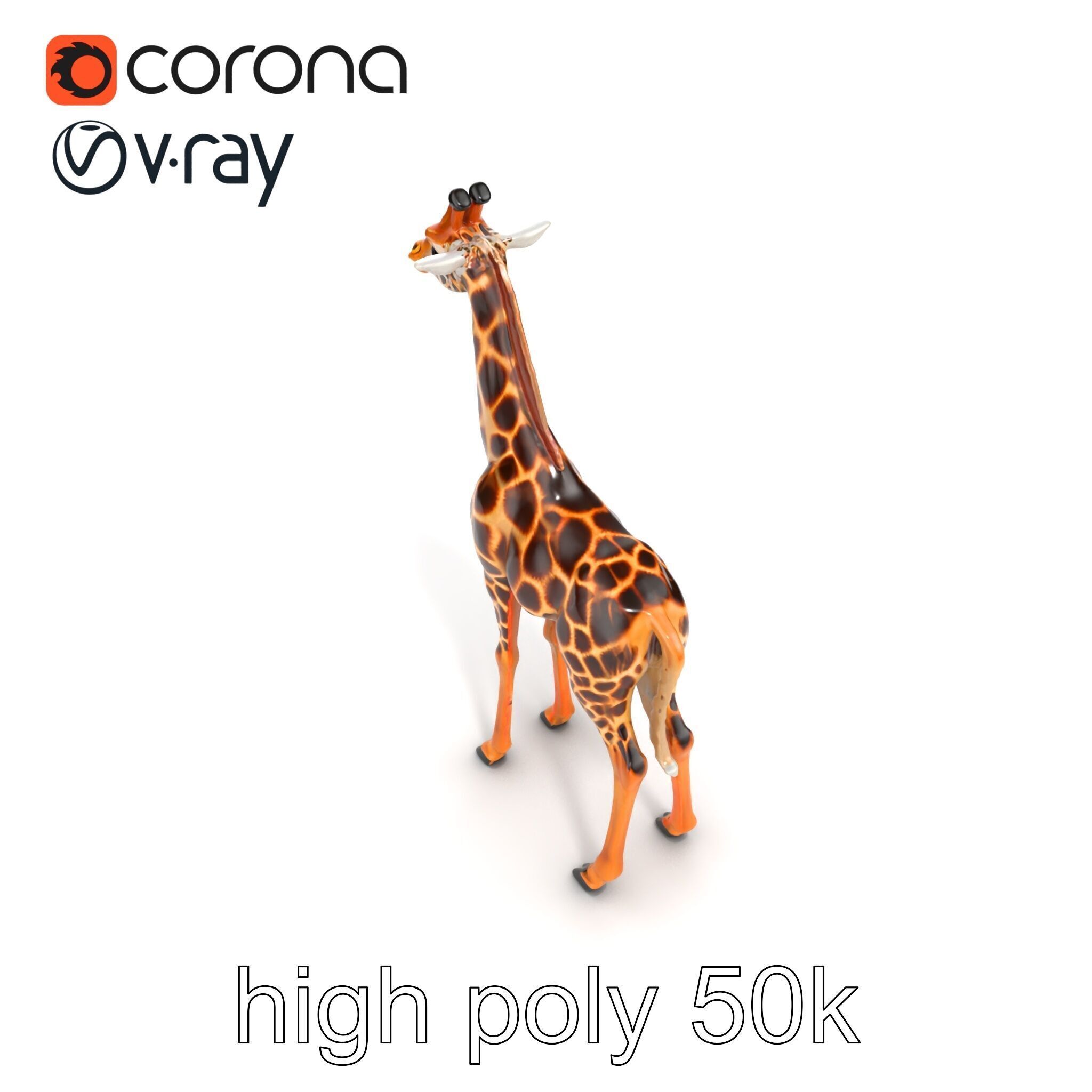 Masai Giraffe Detailed Texture Model Pack Low-poly 3D model_27