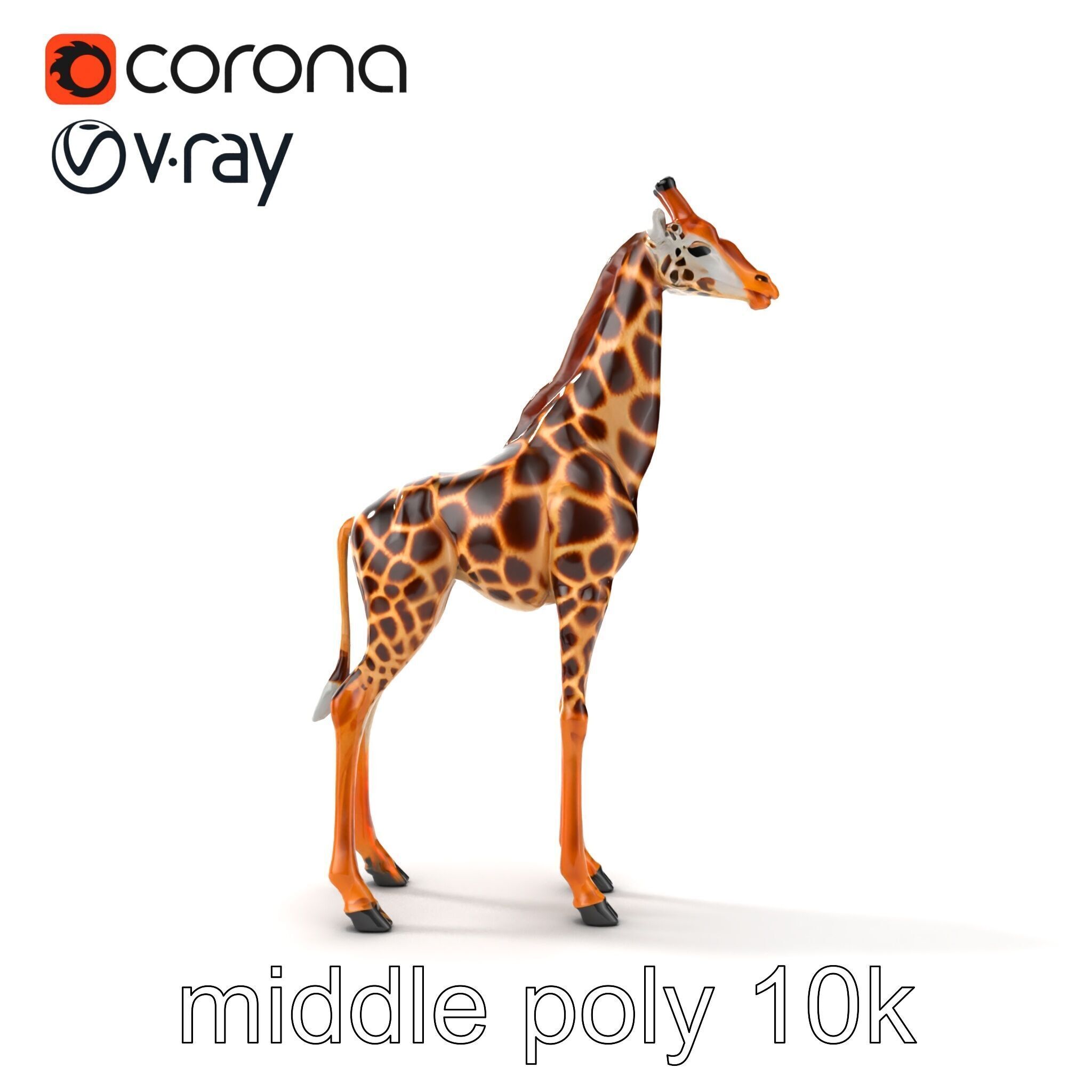 Masai Giraffe Detailed Texture Model Pack Low-poly 3D model_26
