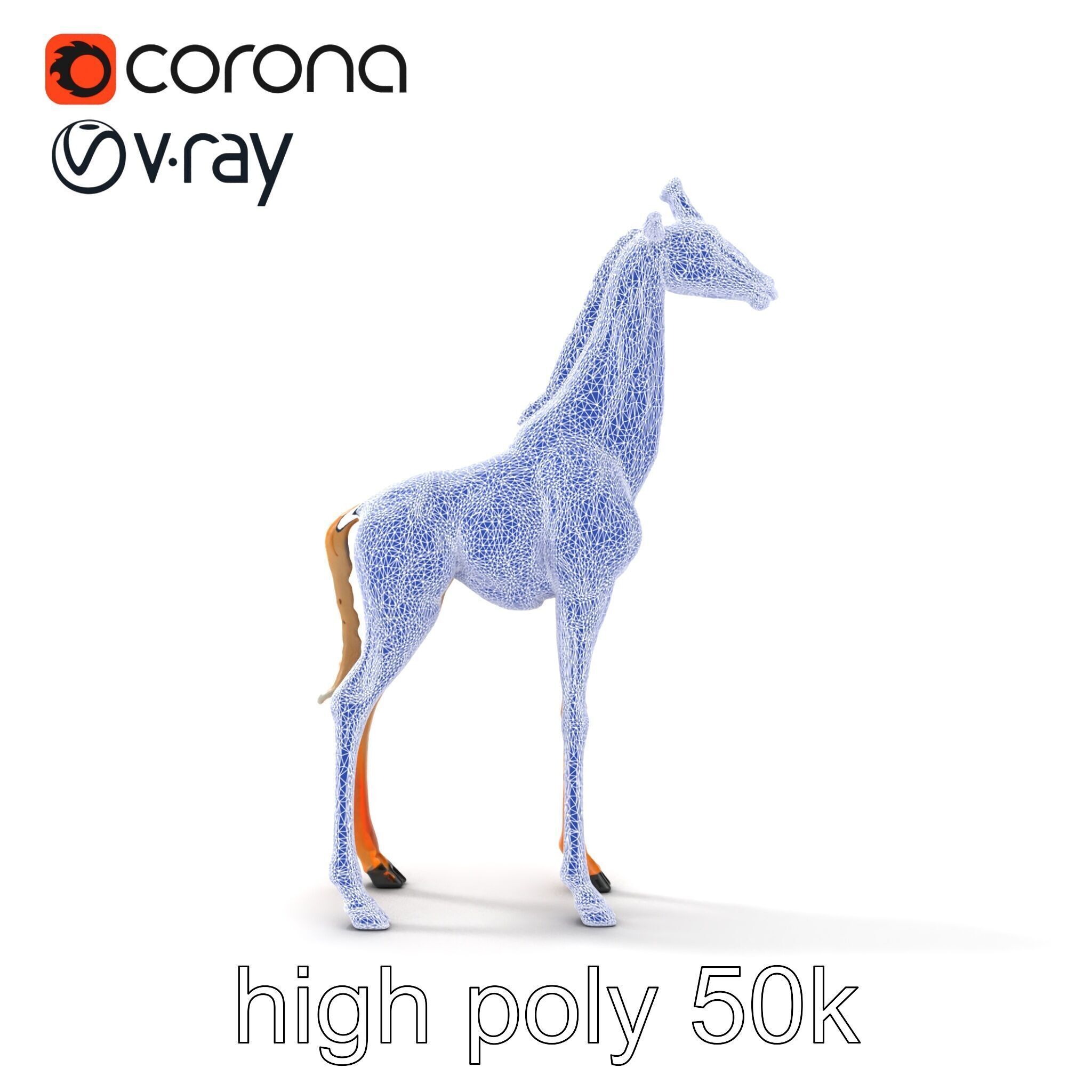 Masai Giraffe Detailed Texture Model Pack Low-poly 3D model_20