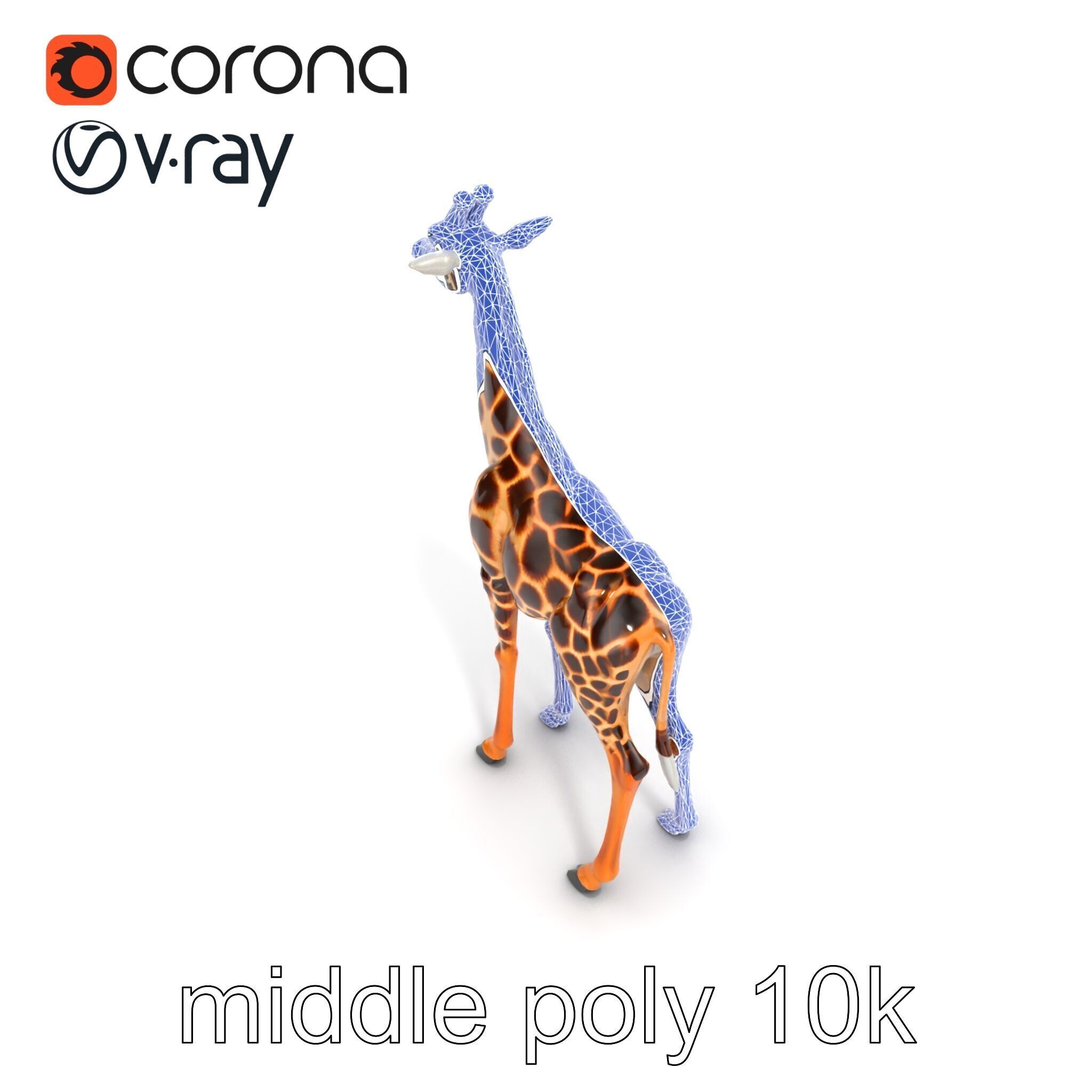 Masai Giraffe Detailed Texture Model Pack Low-poly 3D model_23