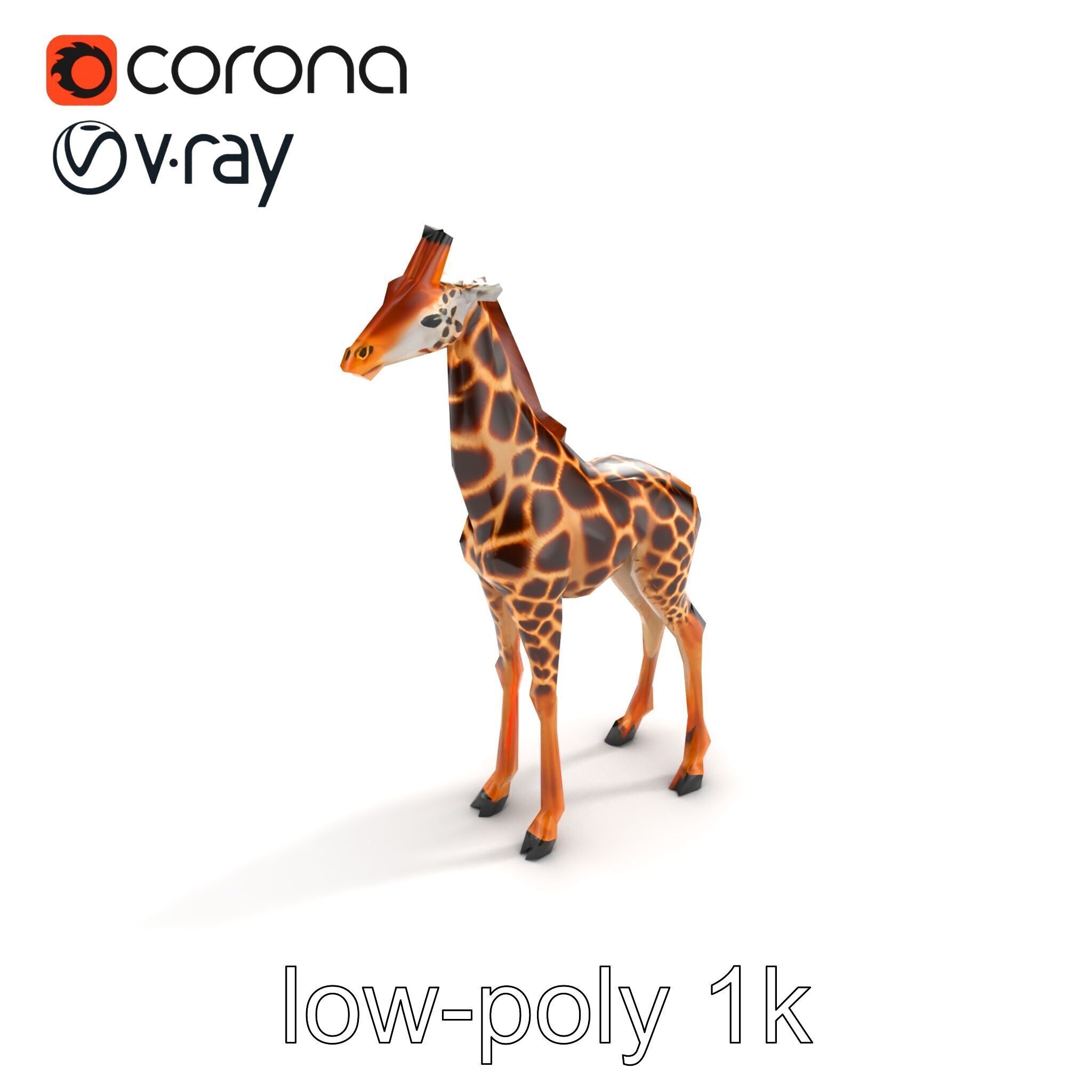 Masai Giraffe Detailed Texture Model Pack Low-poly 3D model_9