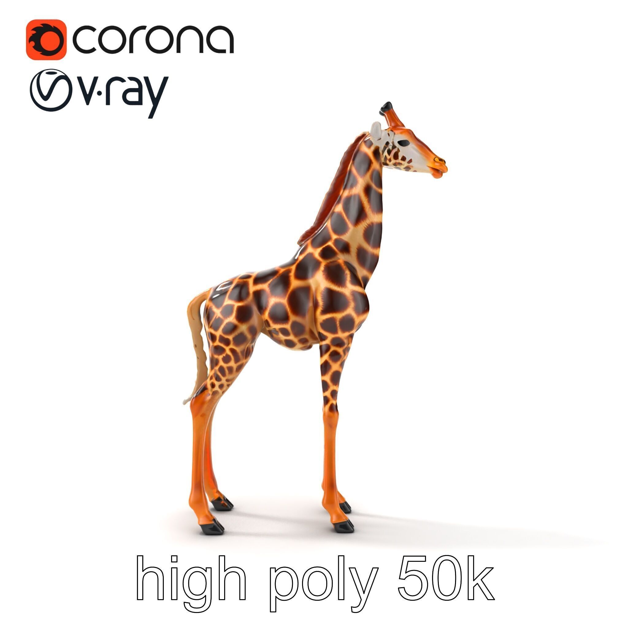 Masai Giraffe Detailed Texture Model Pack Low-poly 3D model_18