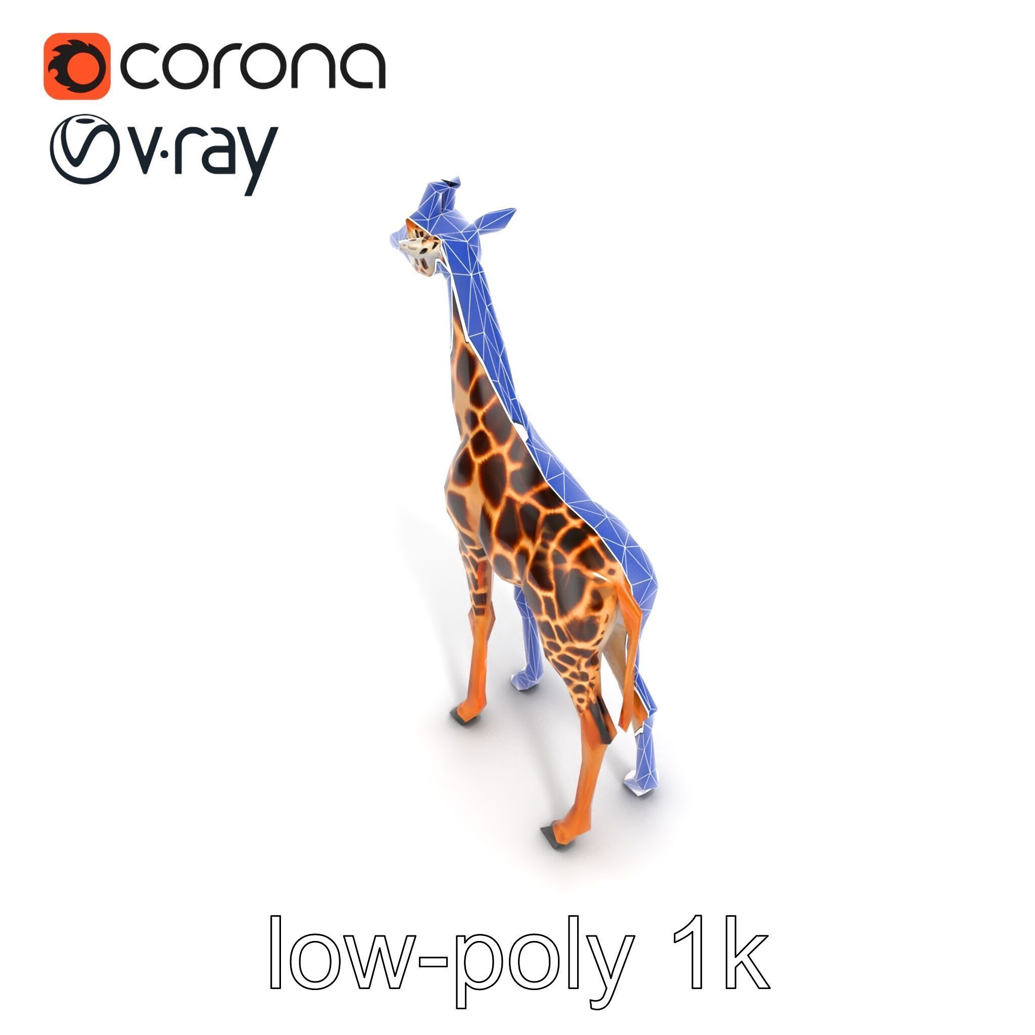 Masai Giraffe Detailed Texture Model Pack Low-poly 3D model_21