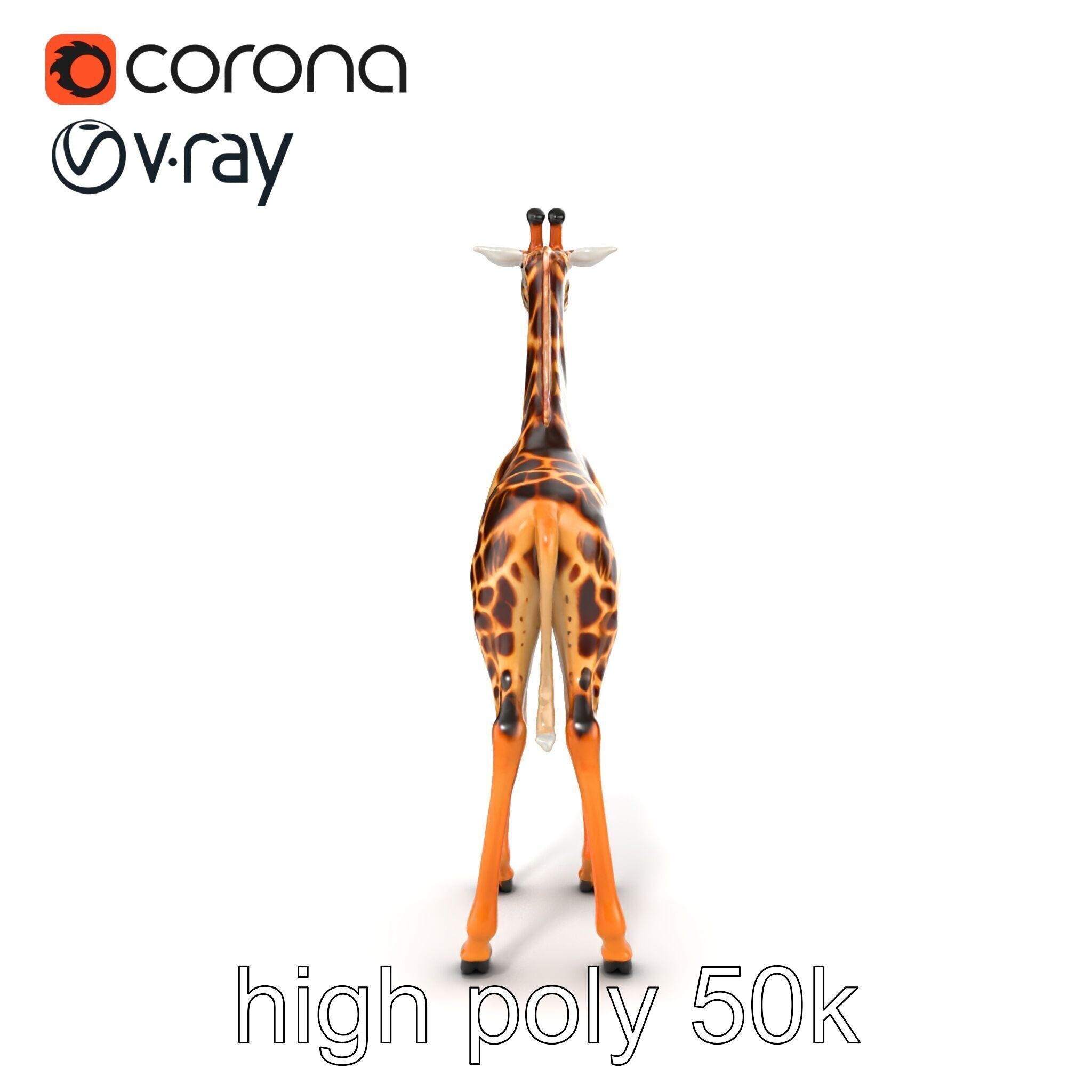 Masai Giraffe Detailed Texture Model Pack Low-poly 3D model_31