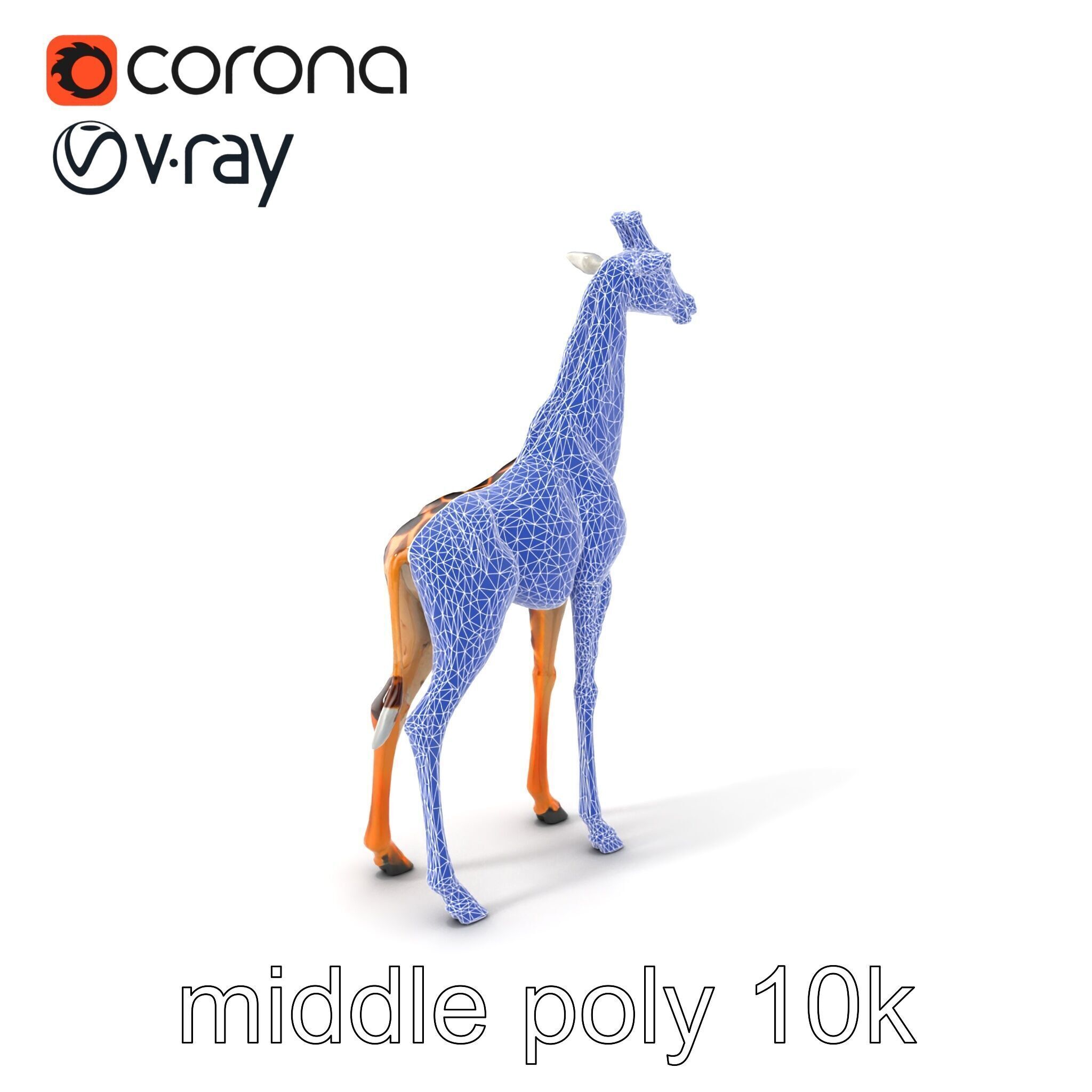Masai Giraffe Detailed Texture Model Pack Low-poly 3D model_6