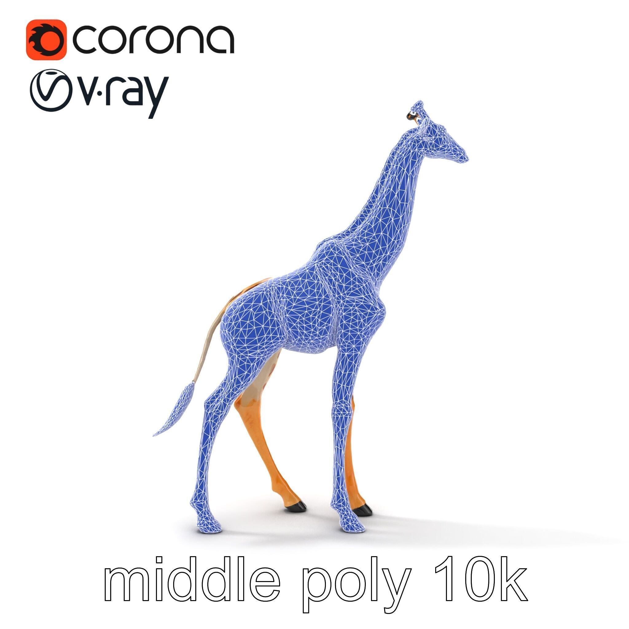 South African Giraffe Realistic Texture model pack Low-poly 3D model_13