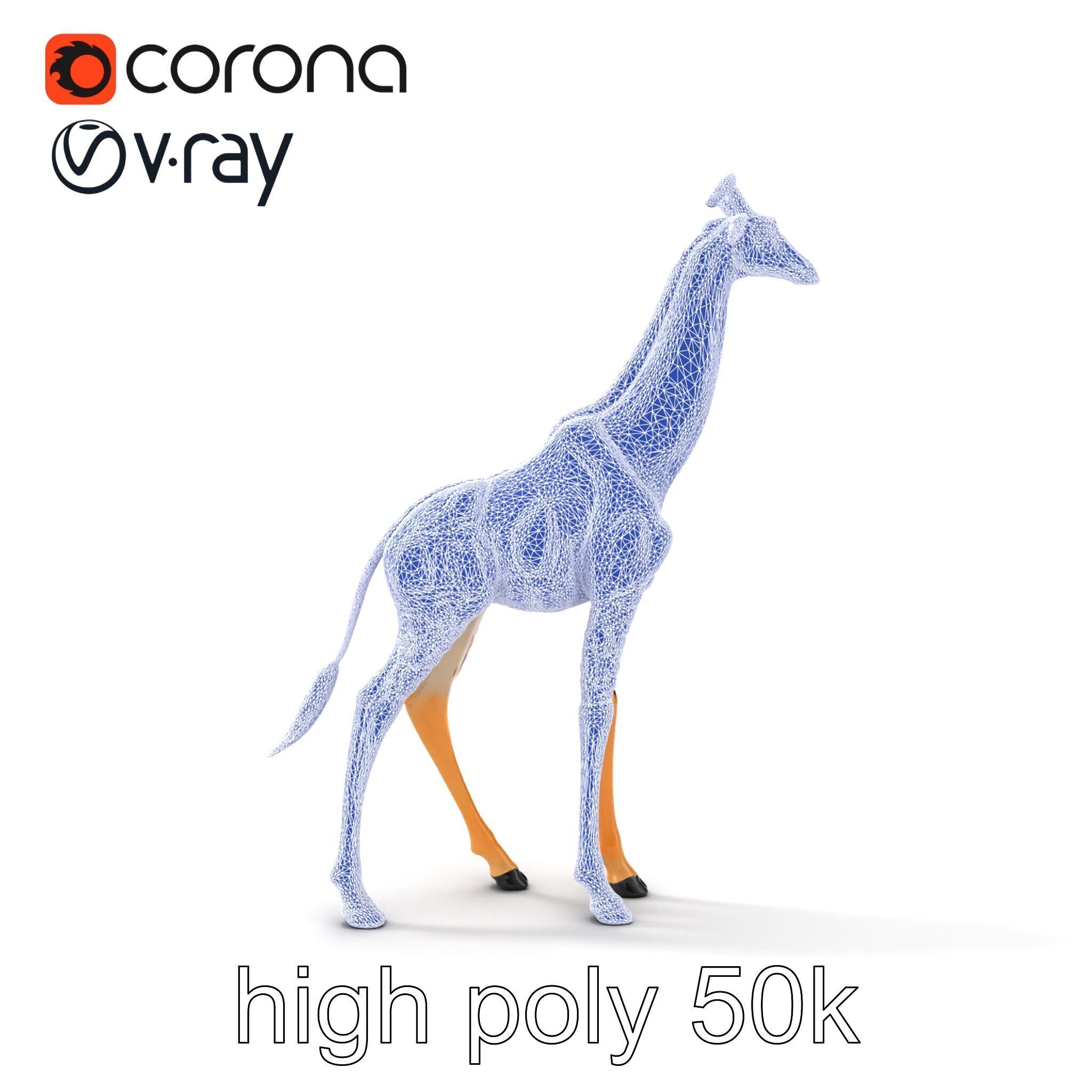 South African Giraffe Realistic Texture model pack Low-poly 3D model_31