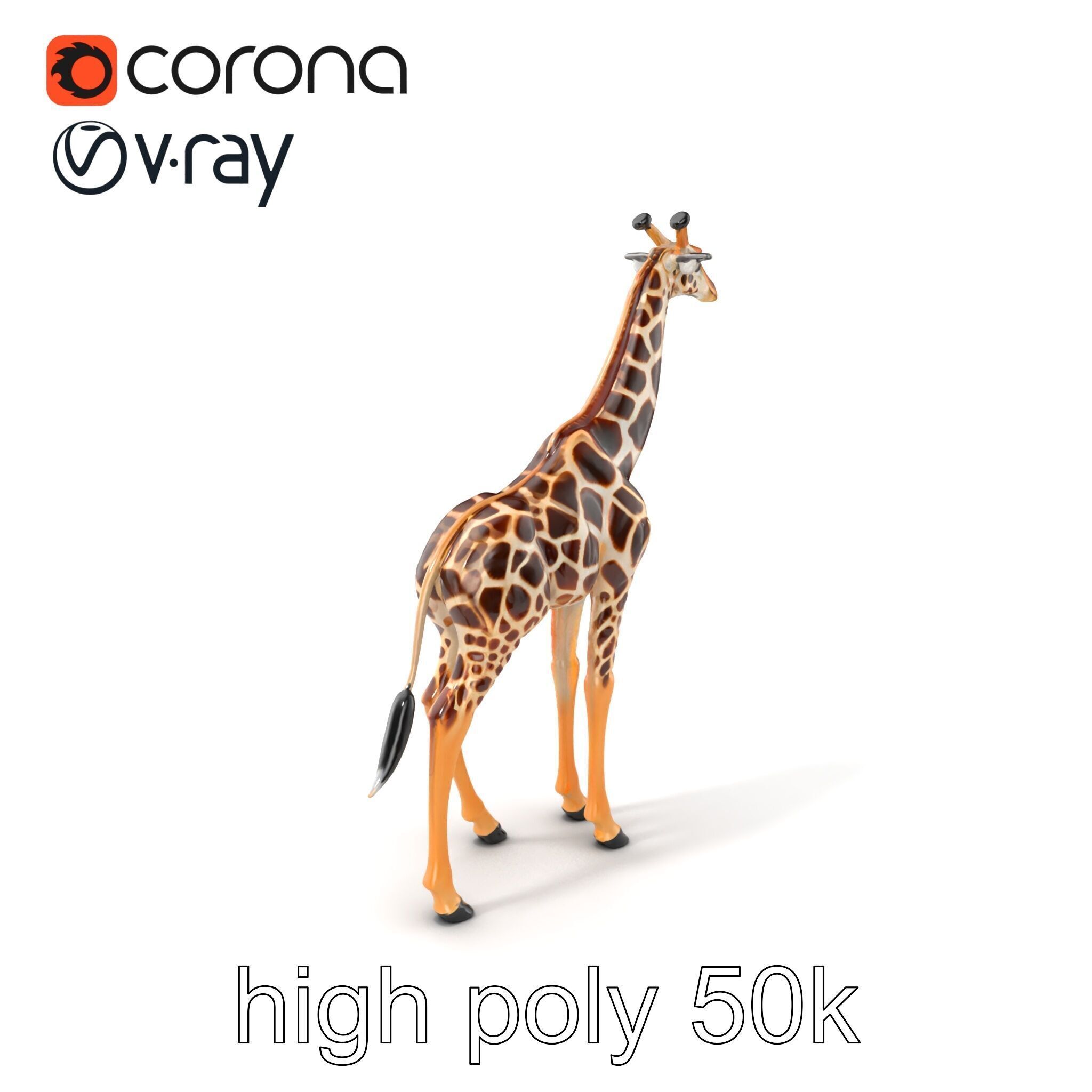 South African Giraffe Realistic Texture model pack Low-poly 3D model_2