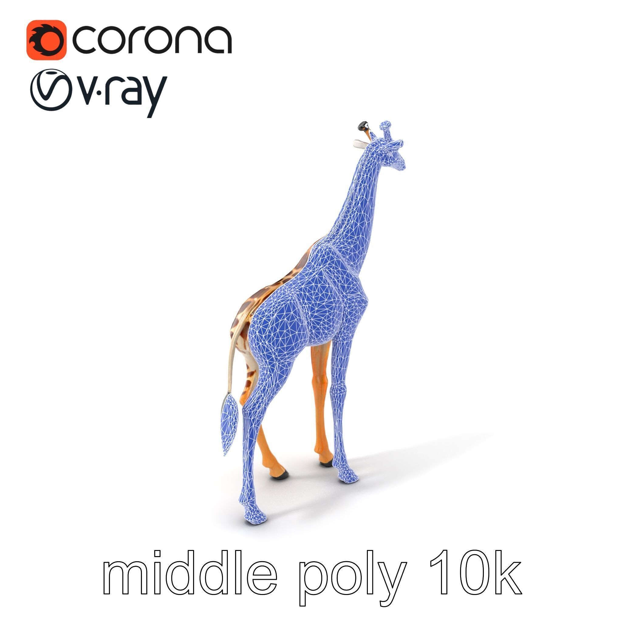 South African Giraffe Realistic Texture model pack Low-poly 3D model_6