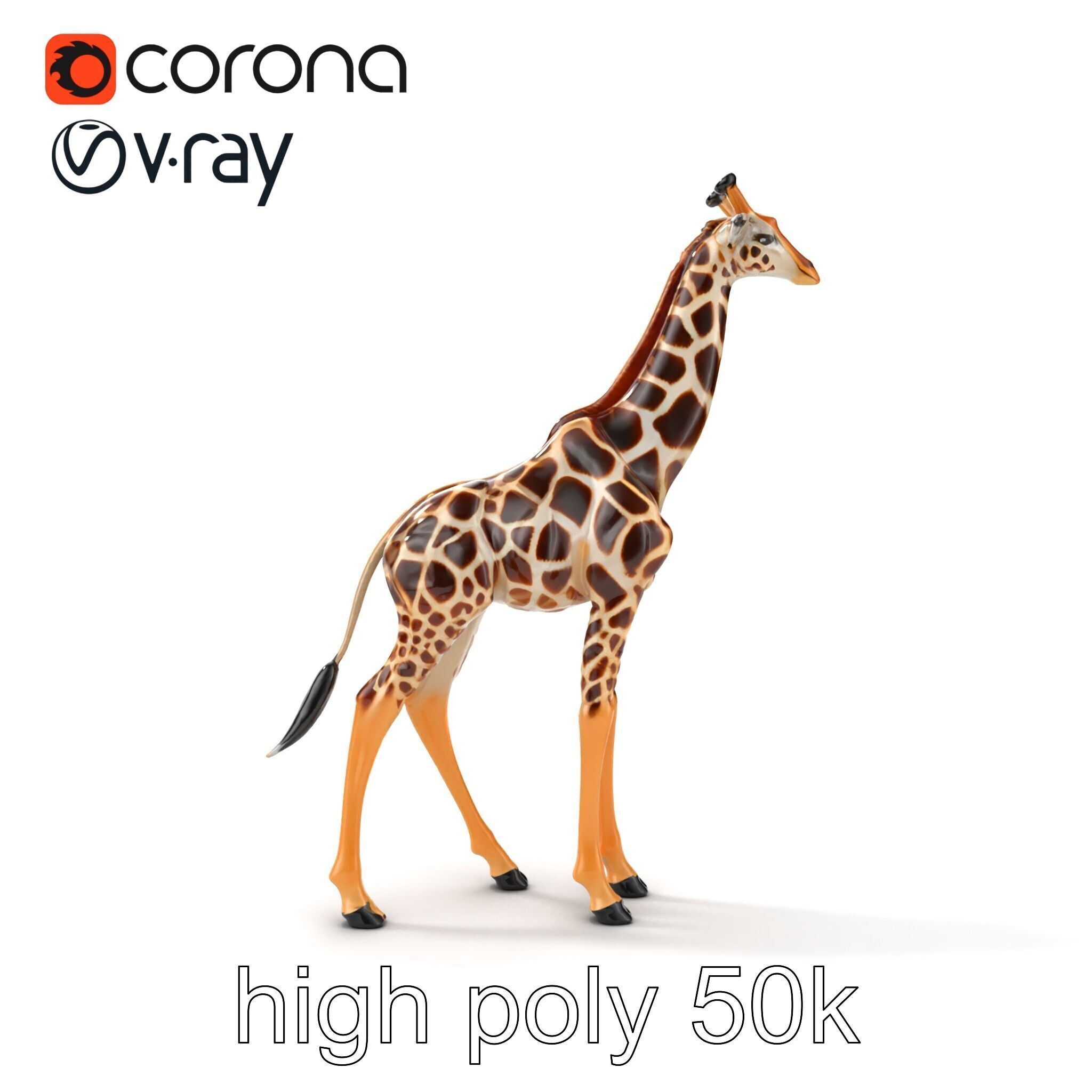 South African Giraffe Realistic Texture model pack Low-poly 3D model_25