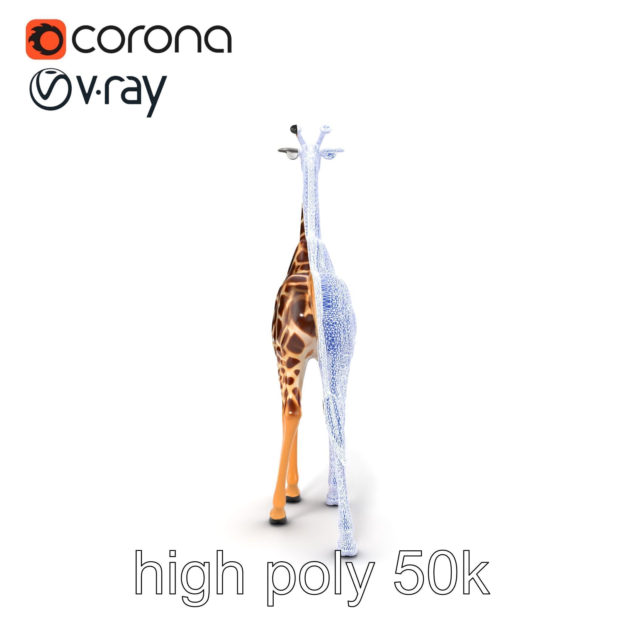 South African Giraffe Realistic Texture model pack Low-poly 3D model_30