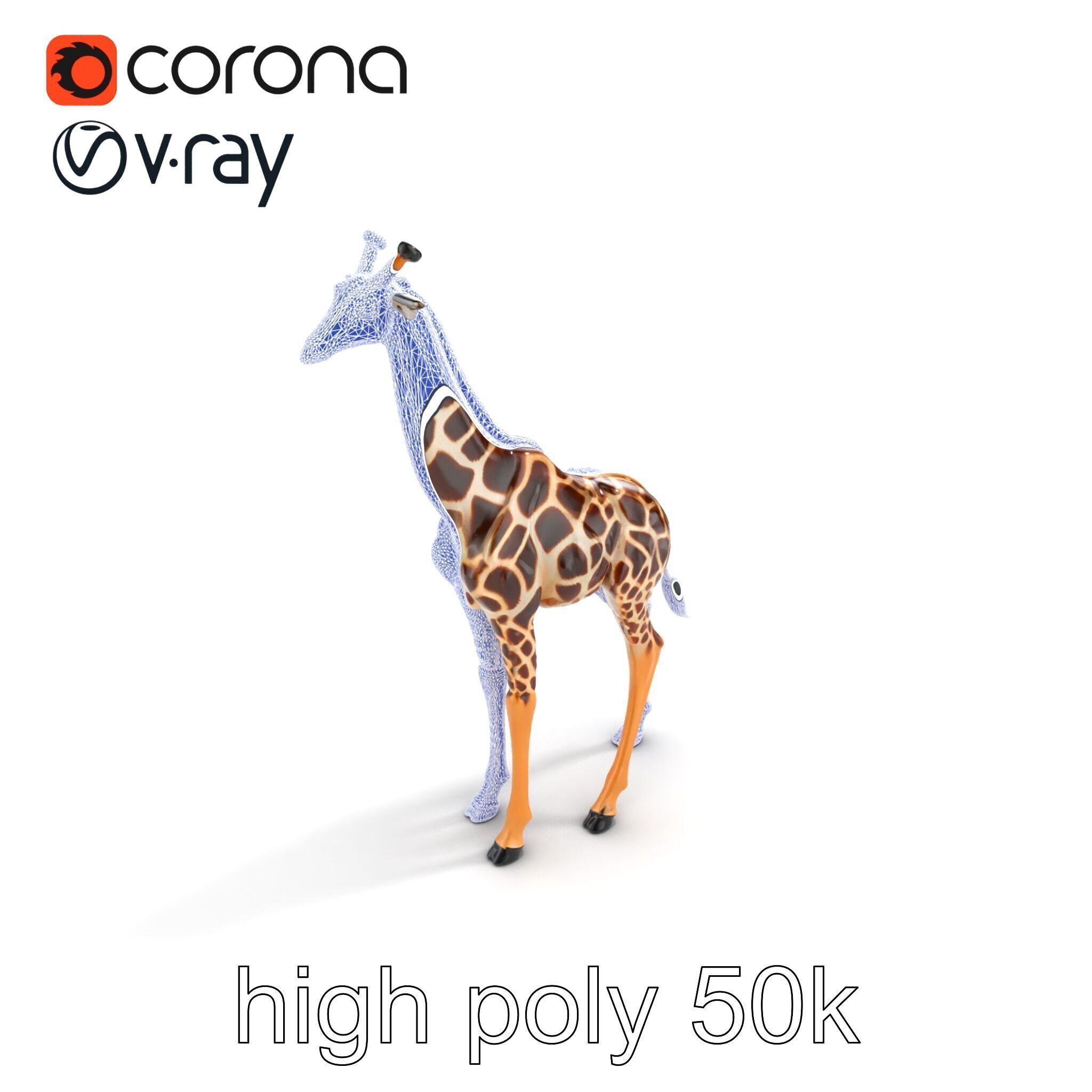 South African Giraffe Realistic Texture model pack Low-poly 3D model_21