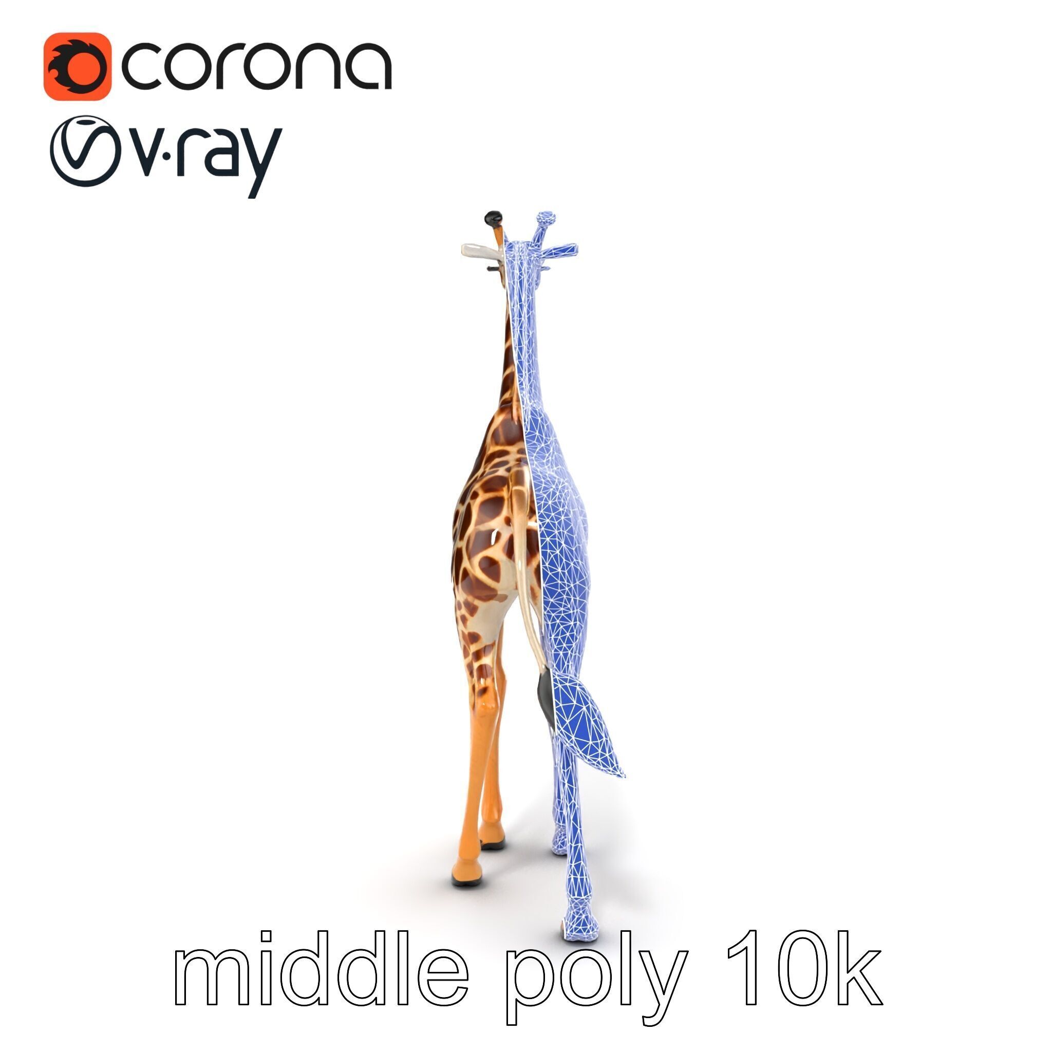 South African Giraffe Realistic Texture model pack Low-poly 3D model_29