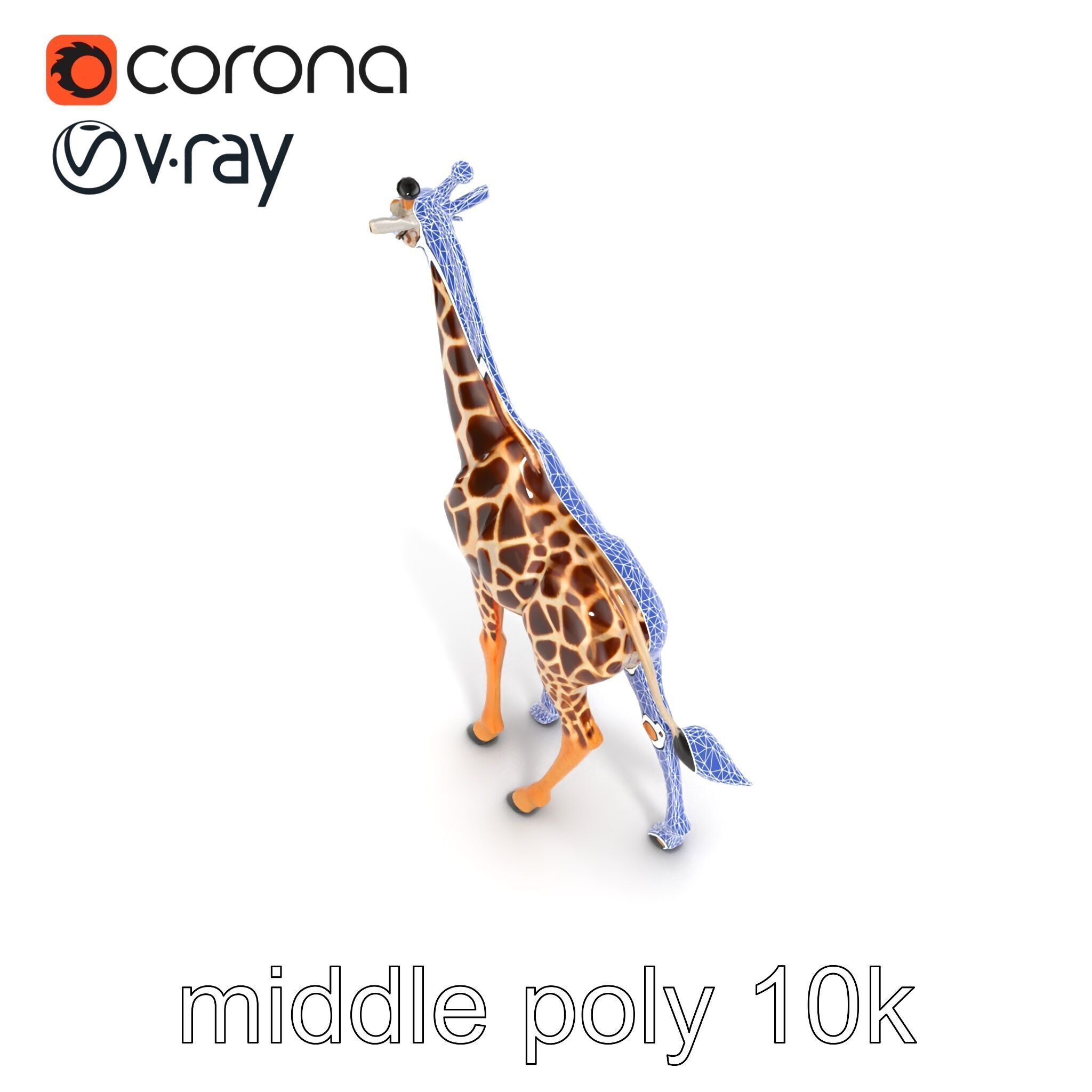 South African Giraffe Realistic Texture model pack Low-poly 3D model_14