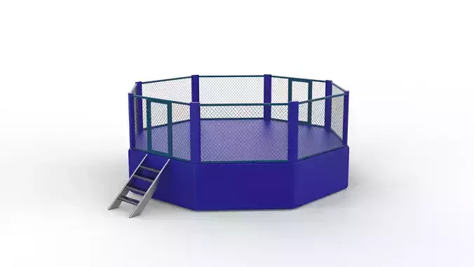 Modern MMA Ring 3D model