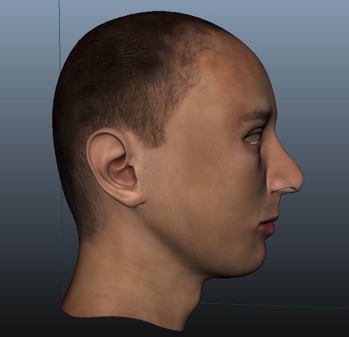man head Free low-poly 3D model_1