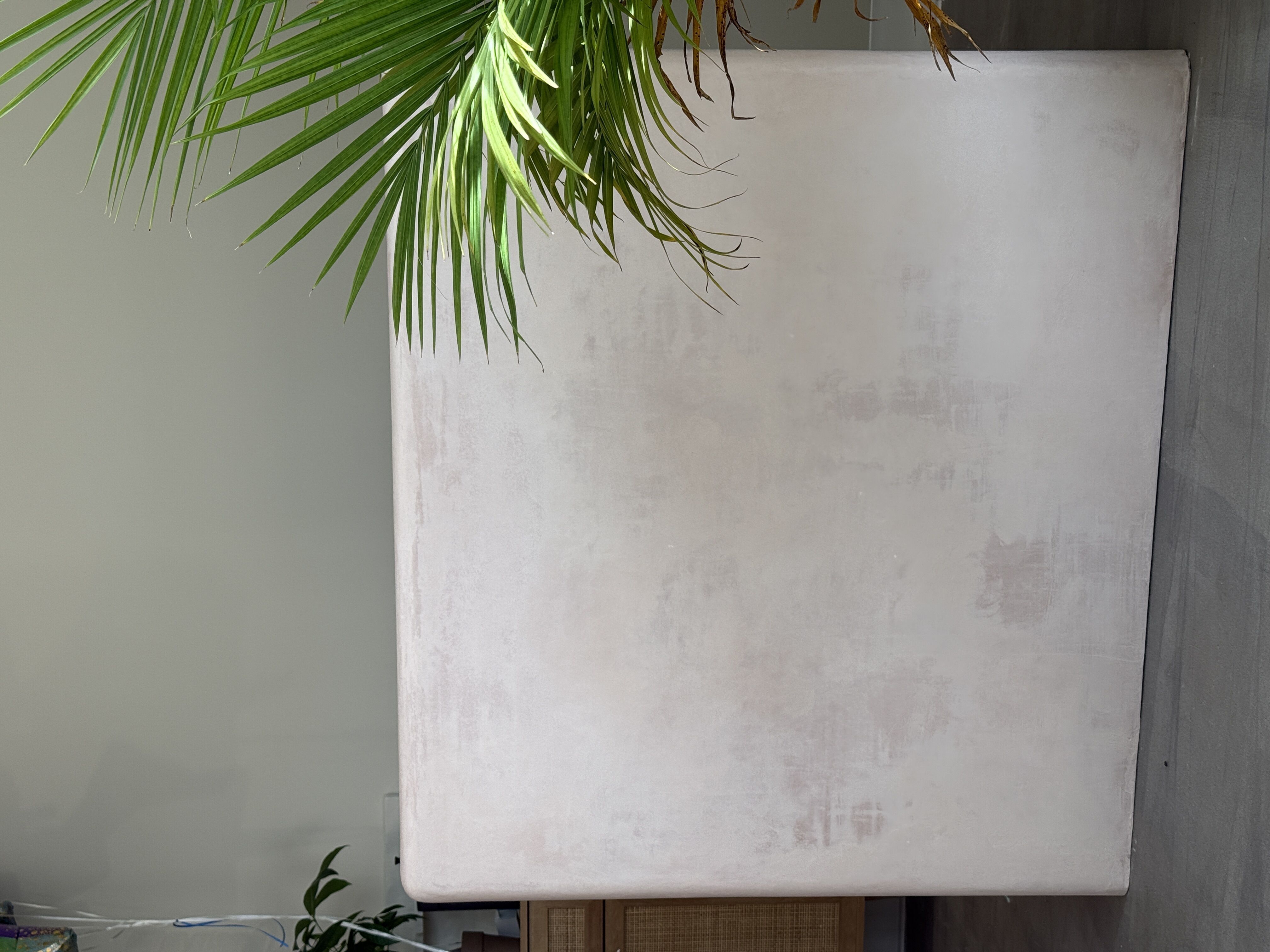 Mango Reception Desk by Path Design Free 3D model_7