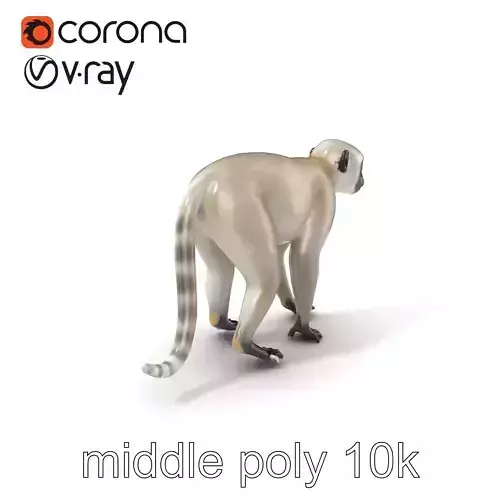 Gray Vervet Monkey Agile Form model pack Low-poly 3D model