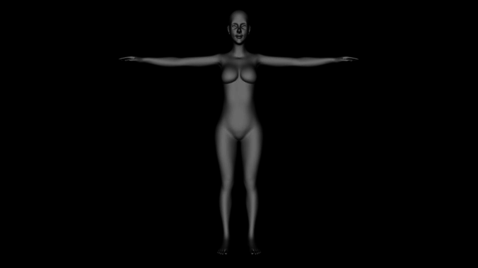3d female body 3D model
