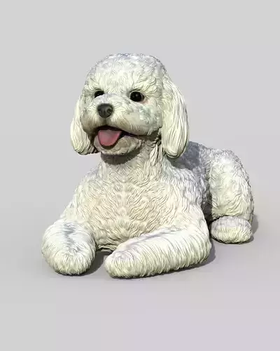 Poodle acostado 3D print model