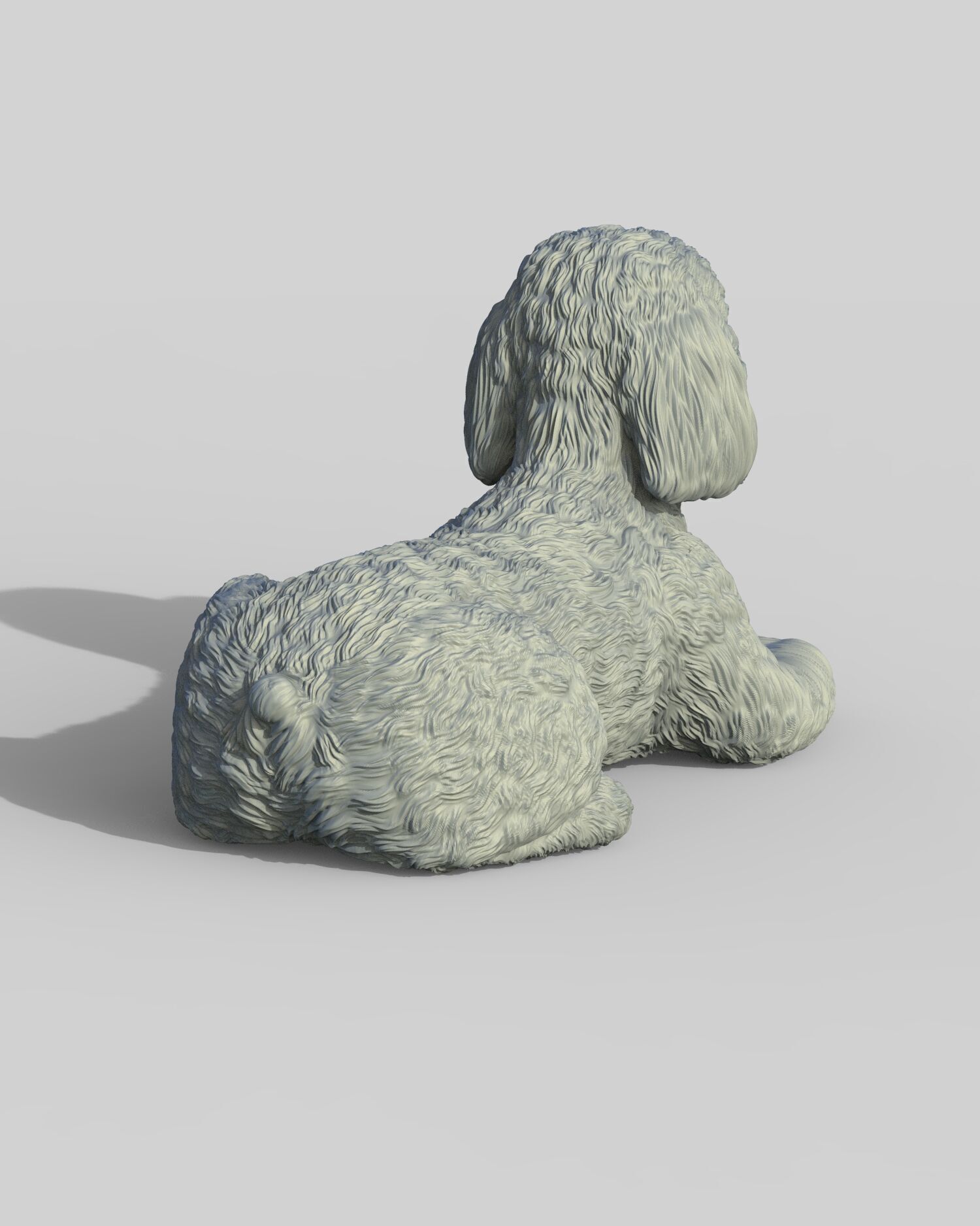 Poodle acostado 3D print model_3