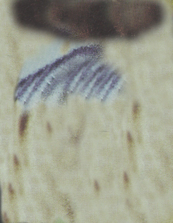 Dragonfly Free 3D model_11