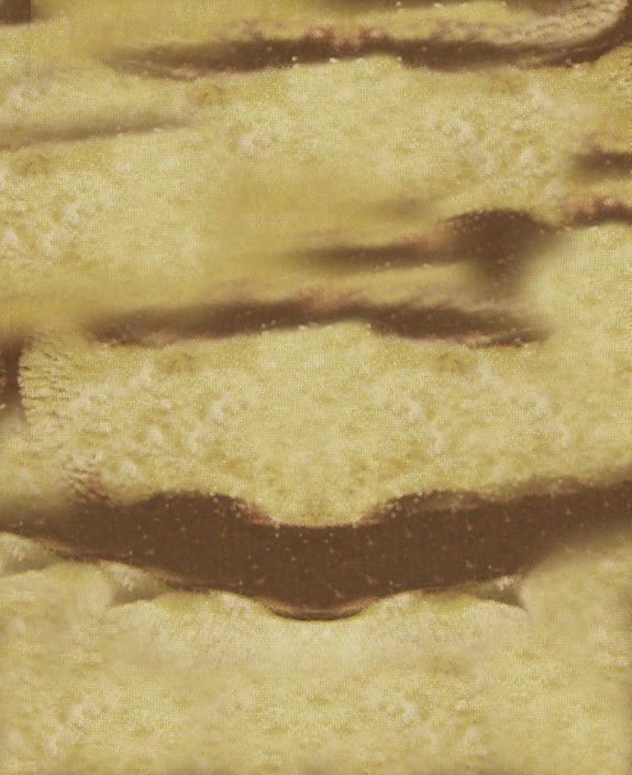 Dragonfly Free 3D model_6