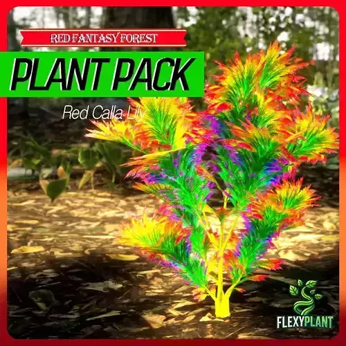 Red Fantasy Forest - 6 Red Calla Lily Fern Grass Plant