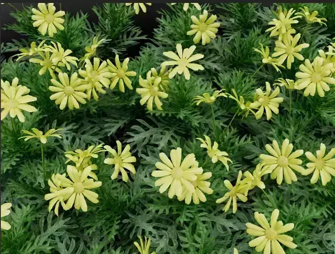 Ornamental Greenery Model with Small Yellow Flowers 3D model