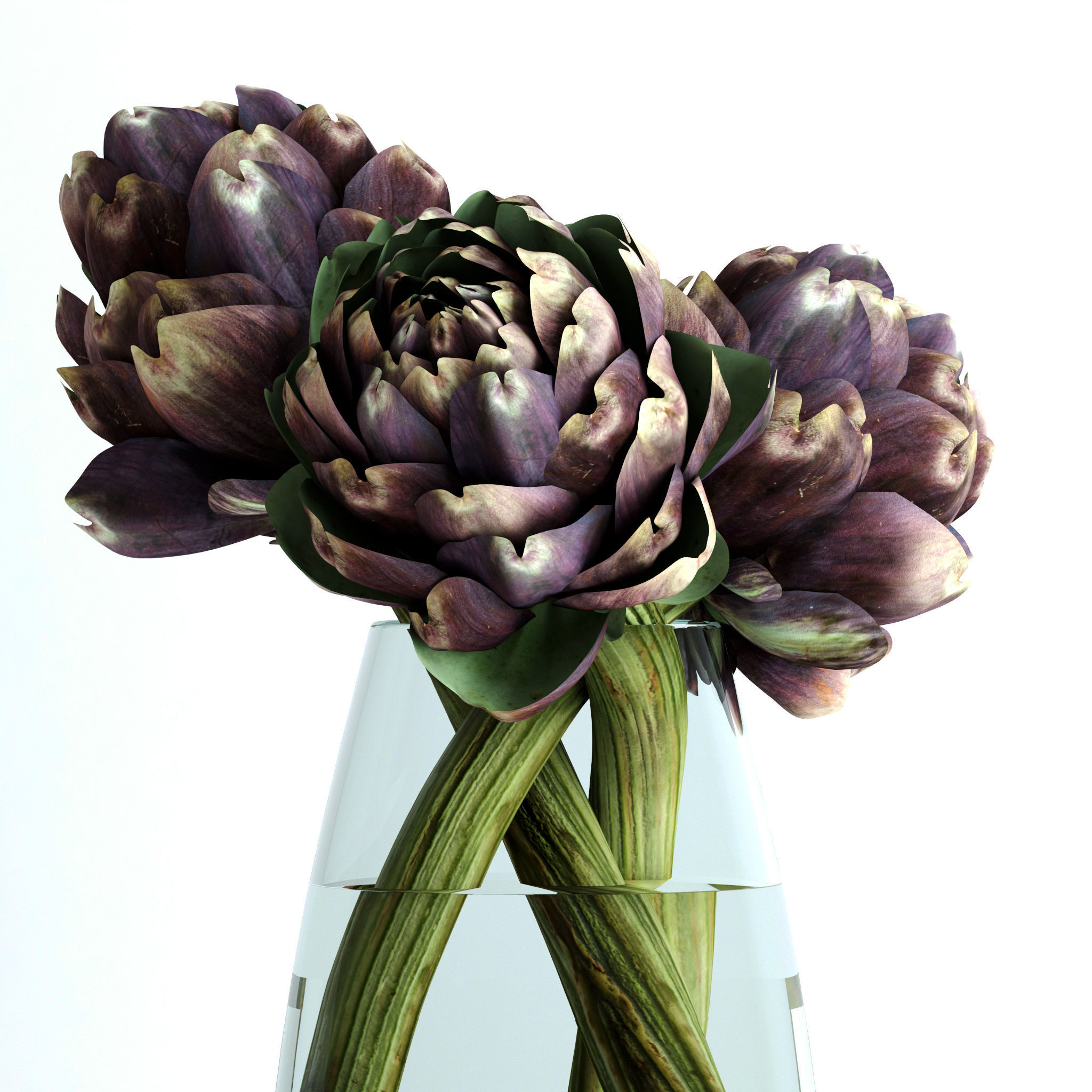 Burgundy Artichokes Set 3D model_1